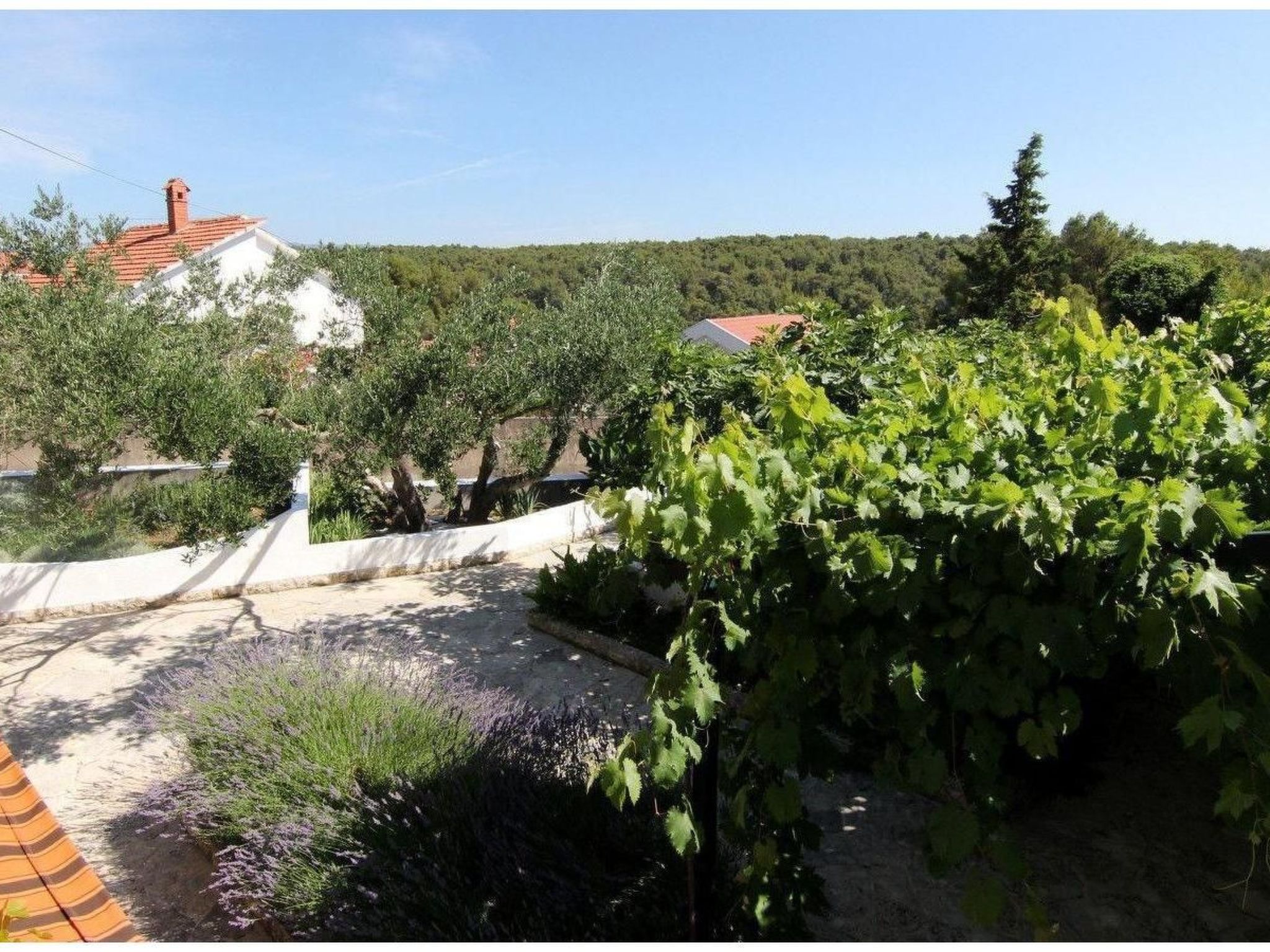 Appartement "Adriana" mit Blick auf das Wasser-Image-tags.info