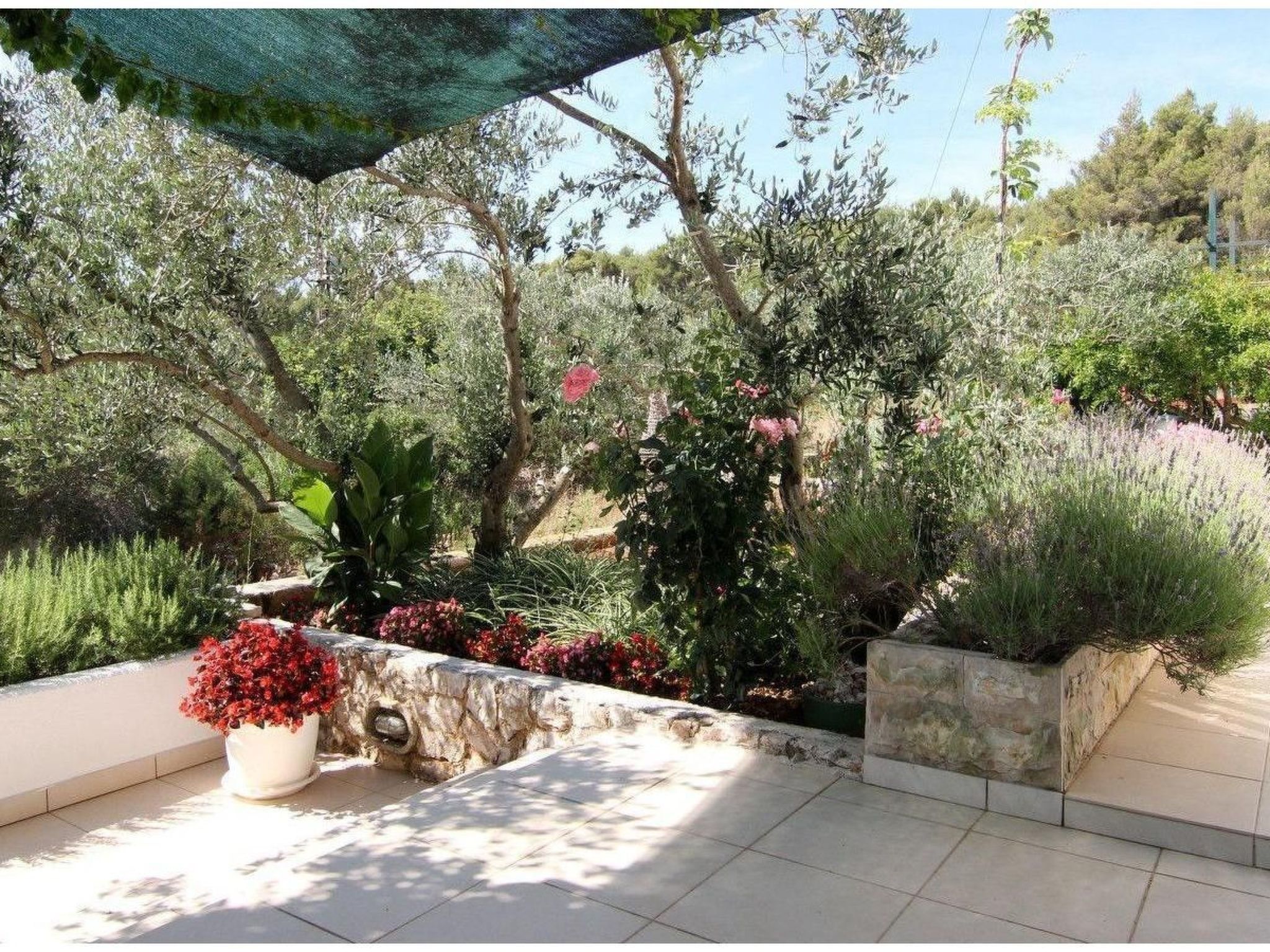 Appartement "Adriana" mit Blick auf das Wasser-Image-tags.info