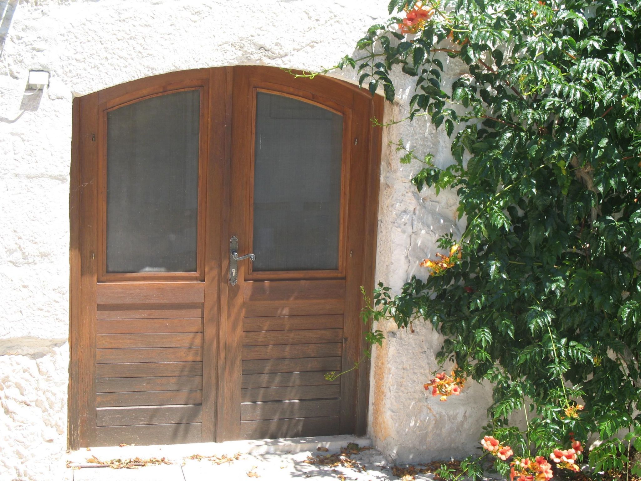Wohnung in Zavala mit schönem Garten-Binnen