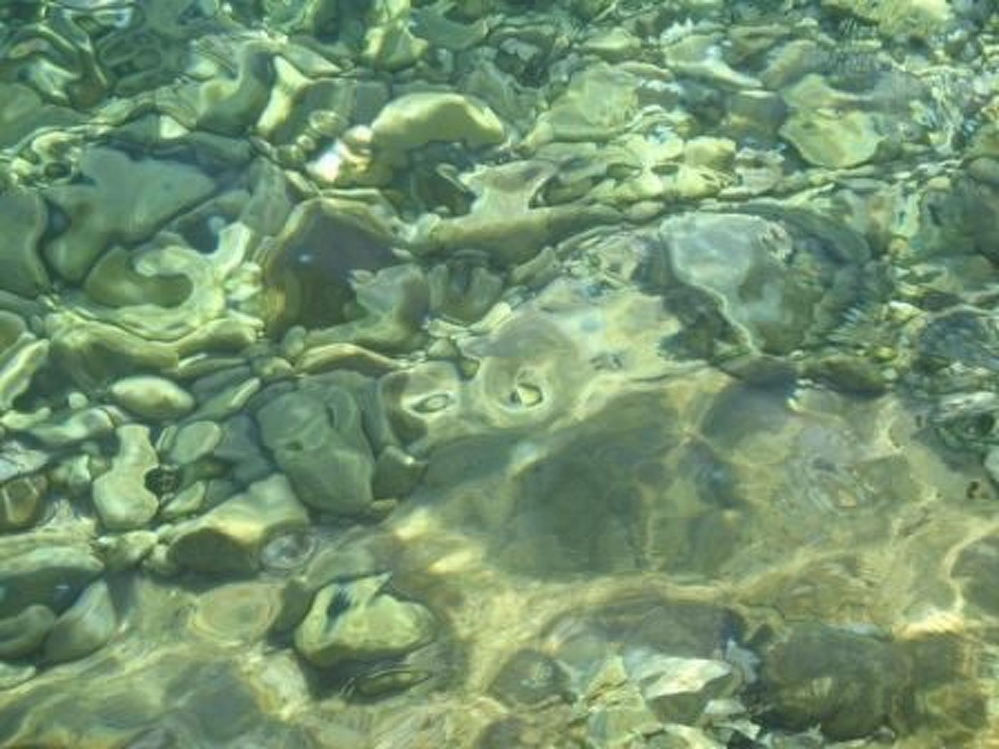 Wohnung in Zavala mit schönem Garten-Binnen