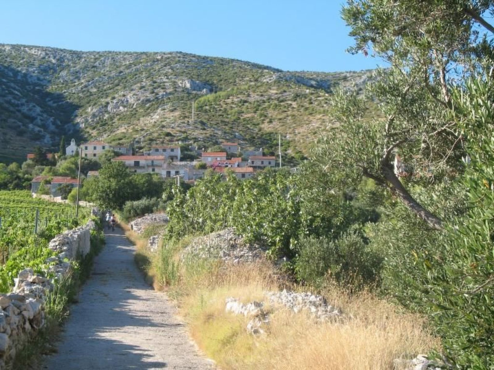 Wohnung in Zavala mit schönem Garten-Binnen