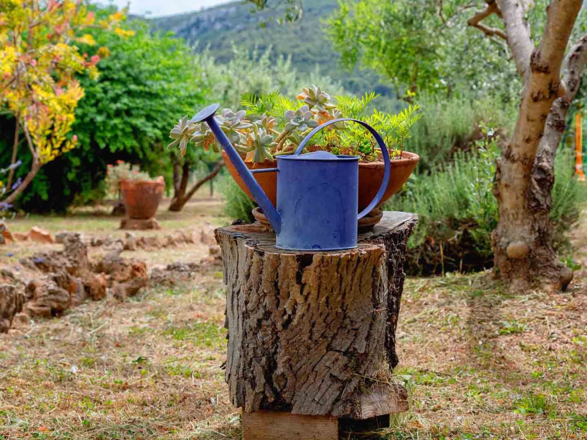 Ferienhaus in Hvar/Jelsa (Kroatien) und 1 Hund erlaubt