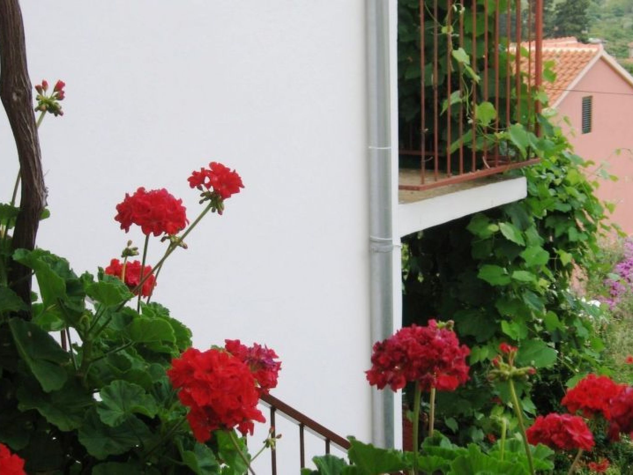 Appartement in Jelsa mit Garten und Grill