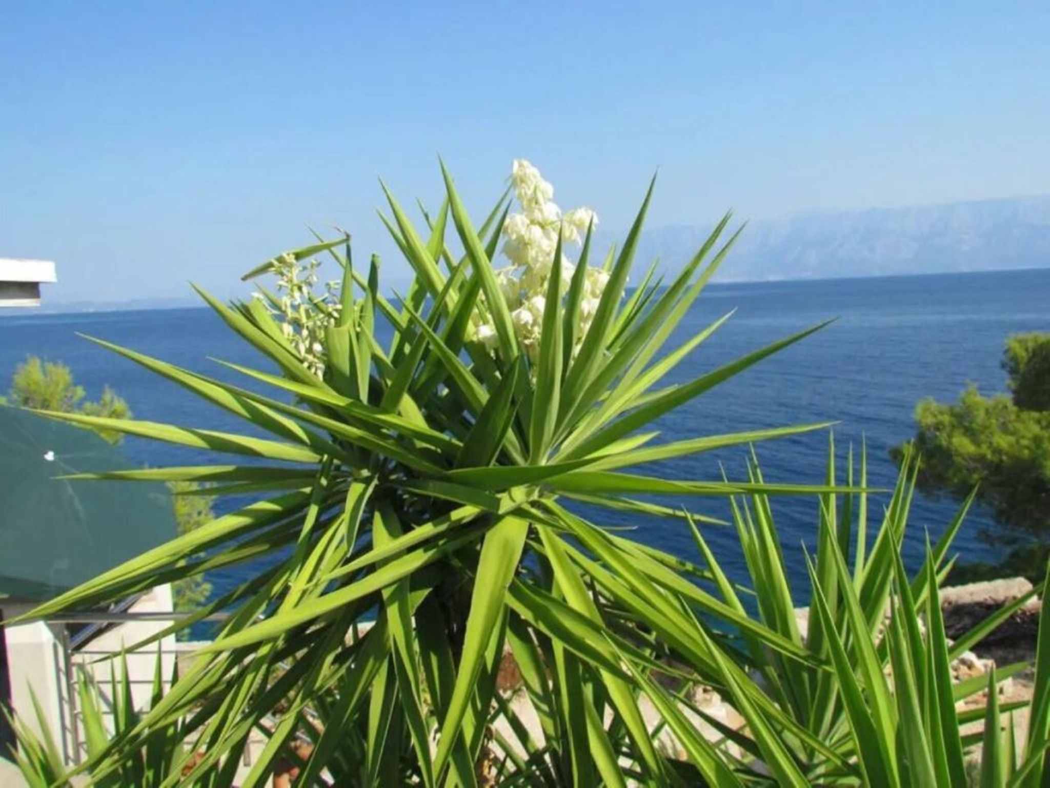 Haus Jakov direkt am Meer - Insel Hvar-Drinnen