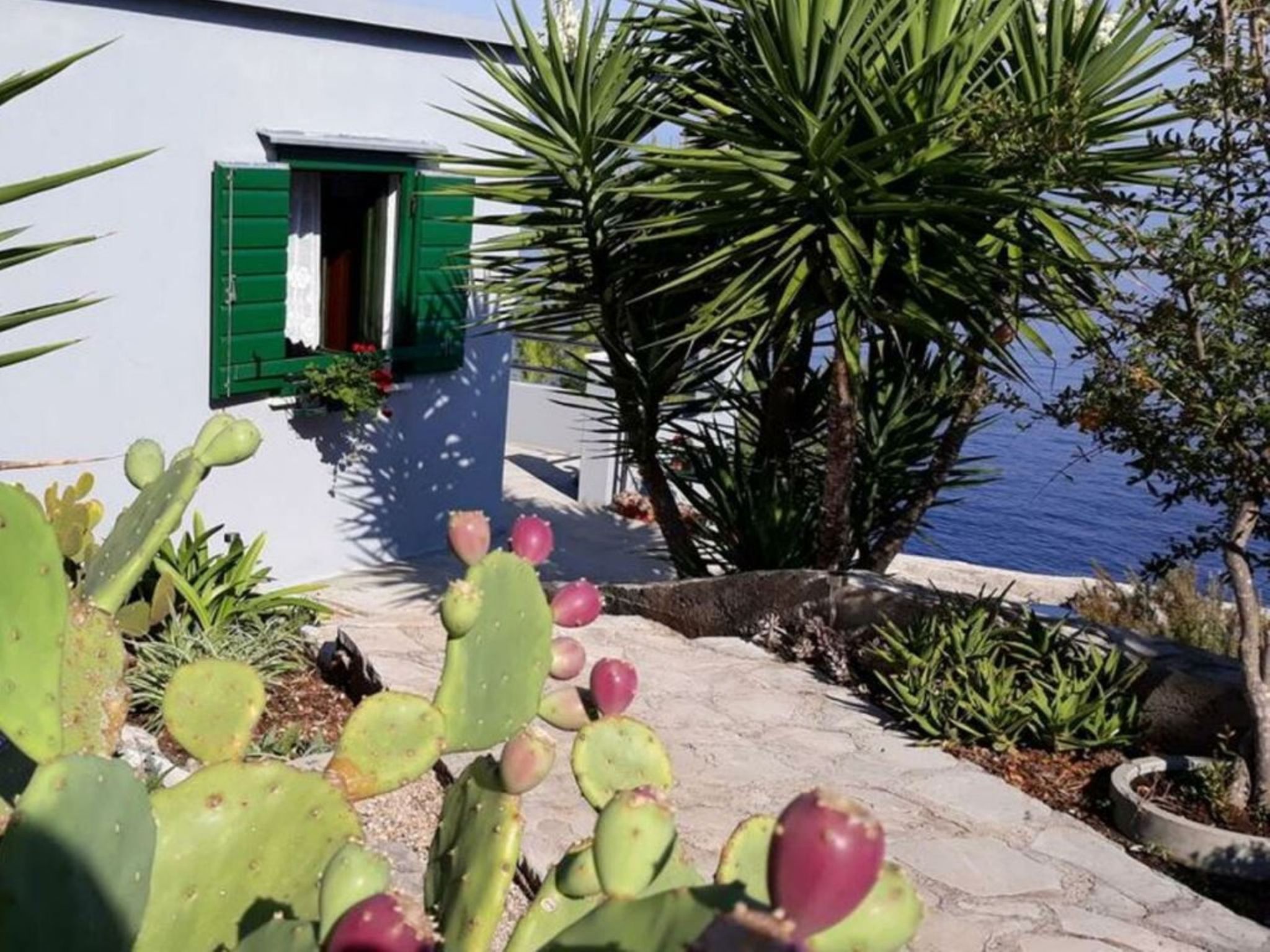 Haus Jakov direkt am Meer - Insel Hvar-Drinnen