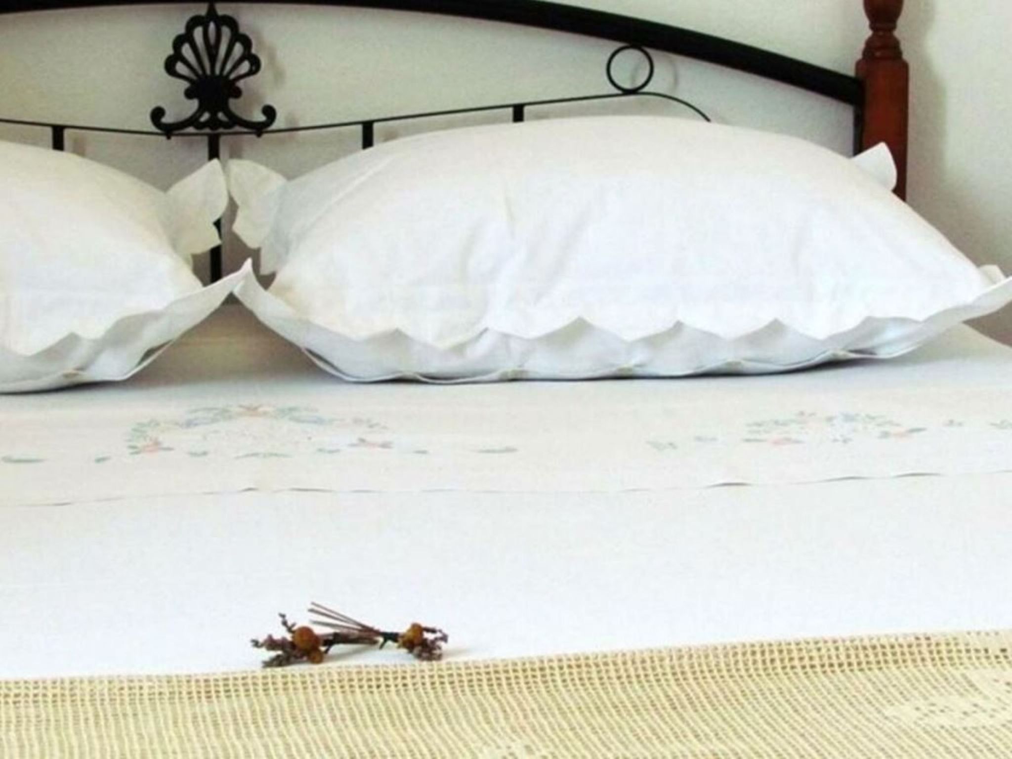 Haus Jakov direkt am Meer - Insel Hvar-Drinnen