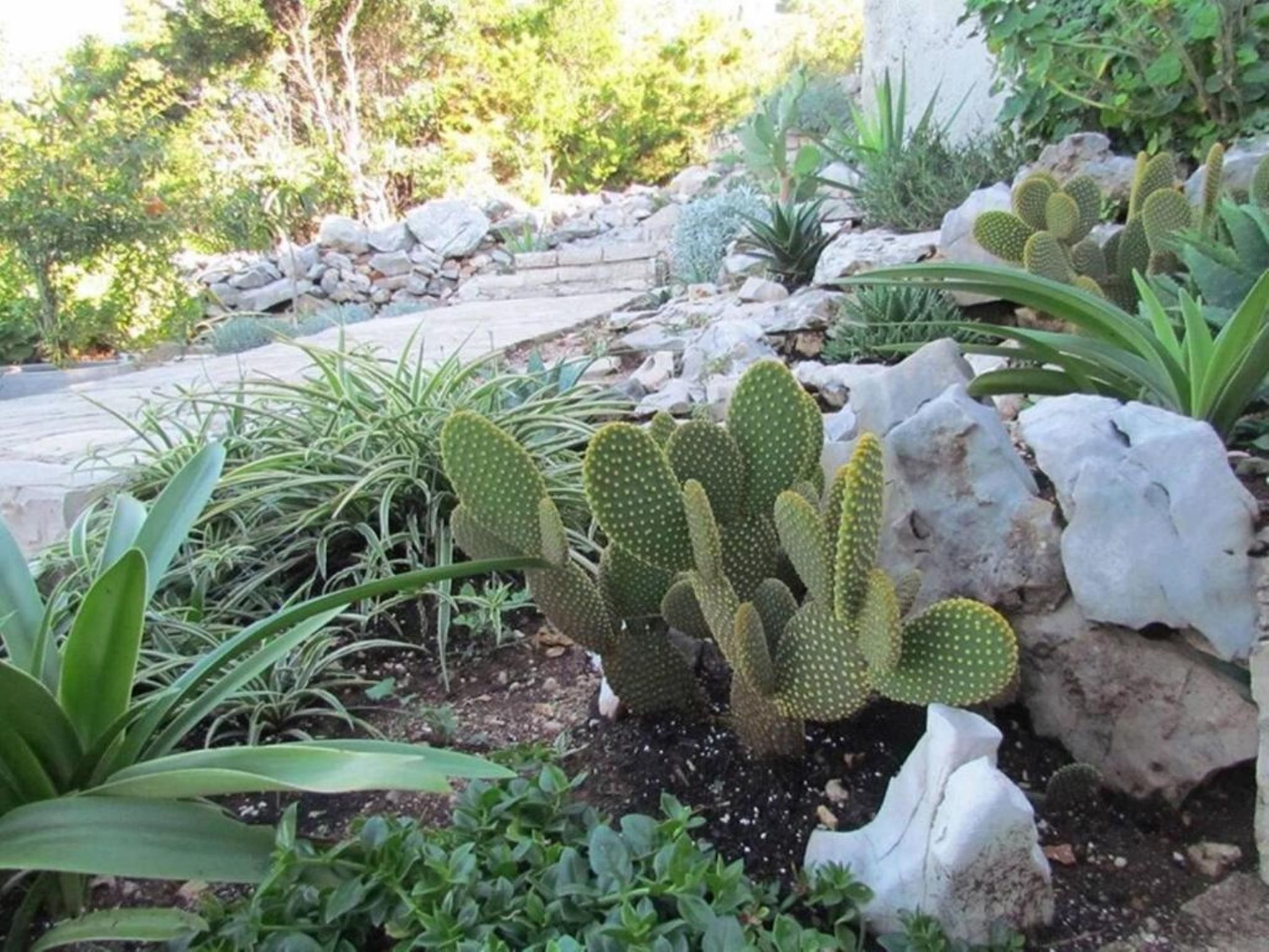 Haus Jakov direkt am Meer - Insel Hvar-Drinnen
