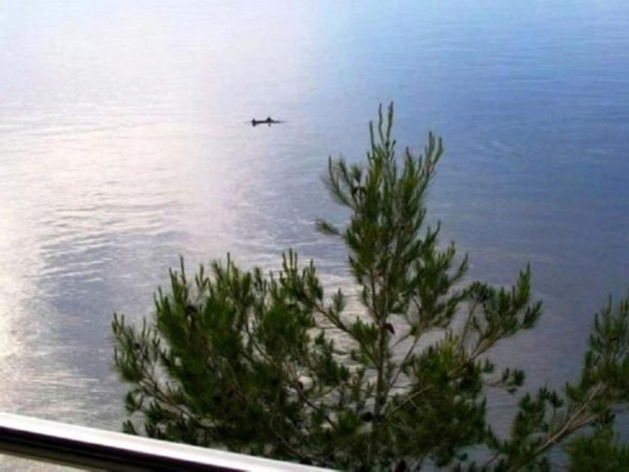 Haus Jakov direkt am Meer - Insel Hvar-Drinnen