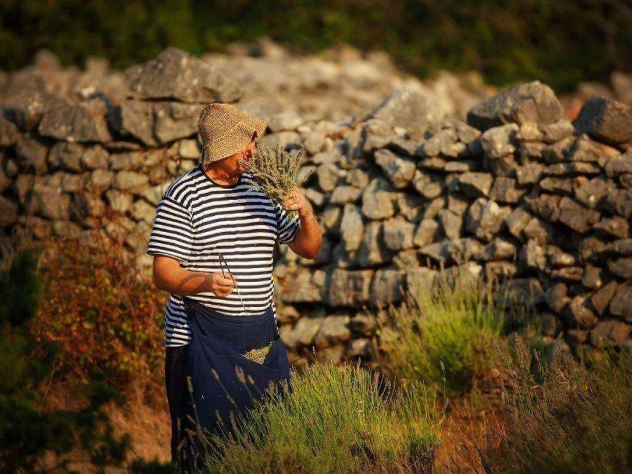 Haus Jakov direkt am Meer - Insel Hvar-Drinnen