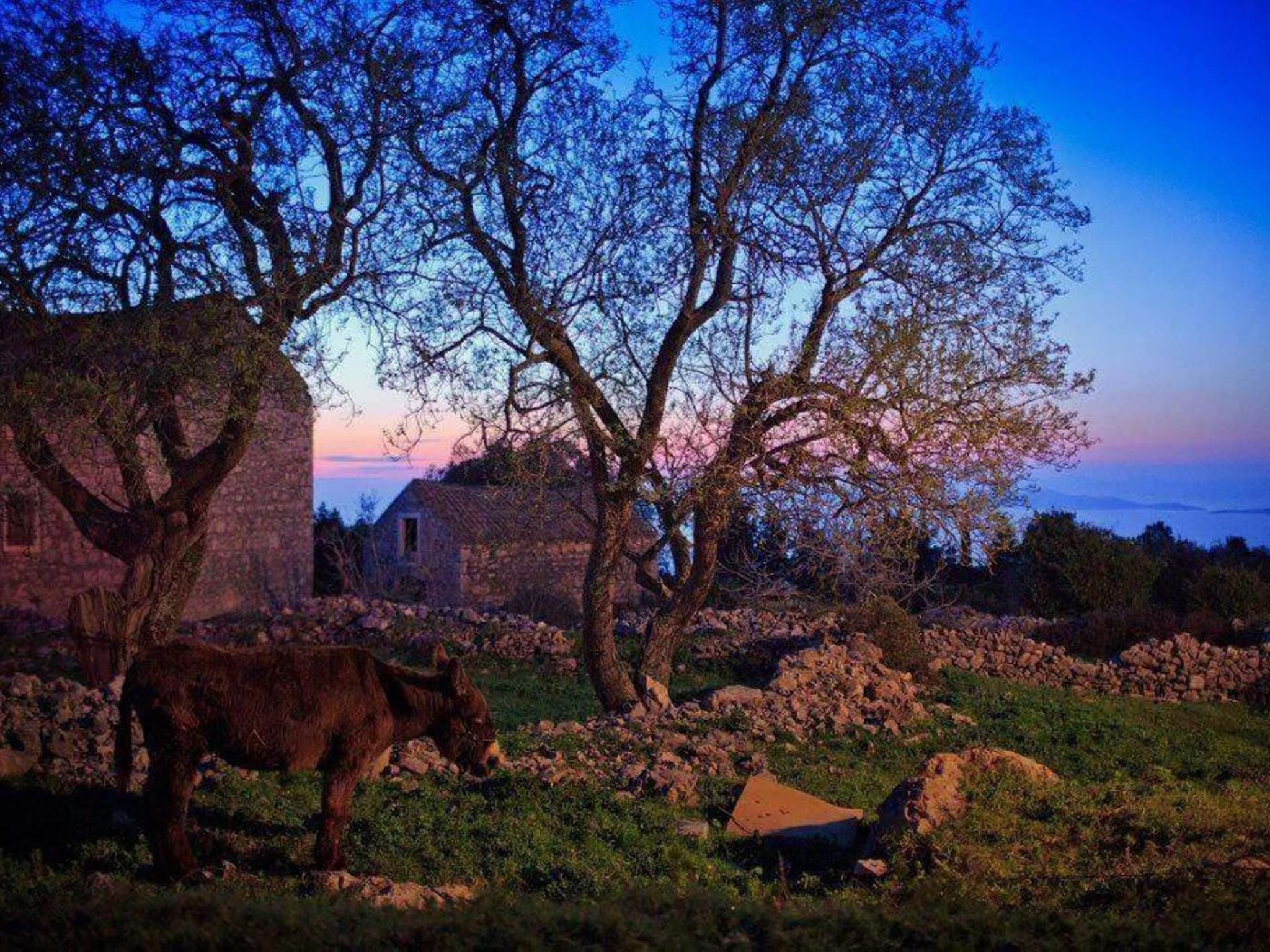 Haus Jakov direkt am Meer - Insel Hvar-Drinnen