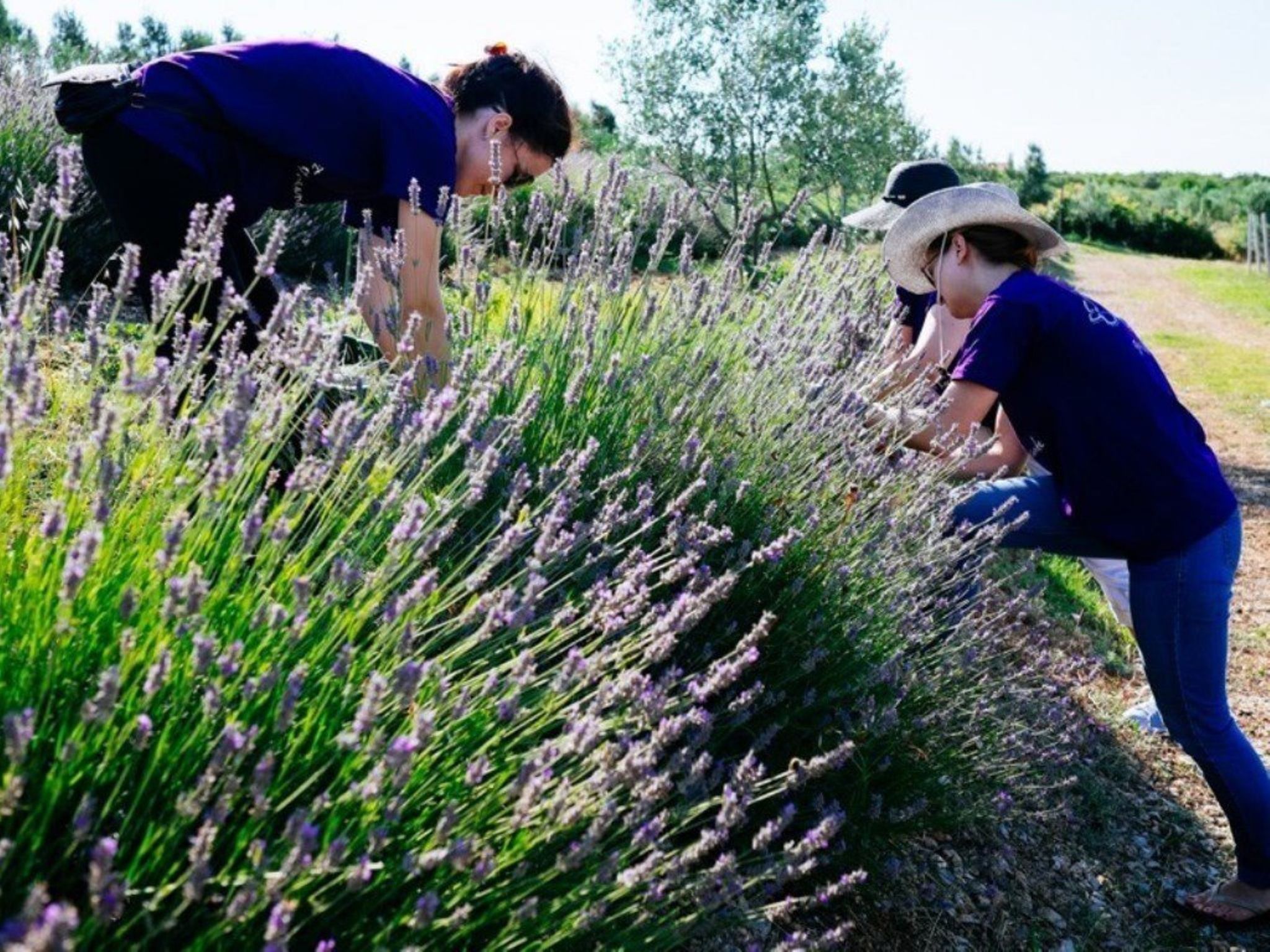 Haus Jakov direkt am Meer - Insel Hvar