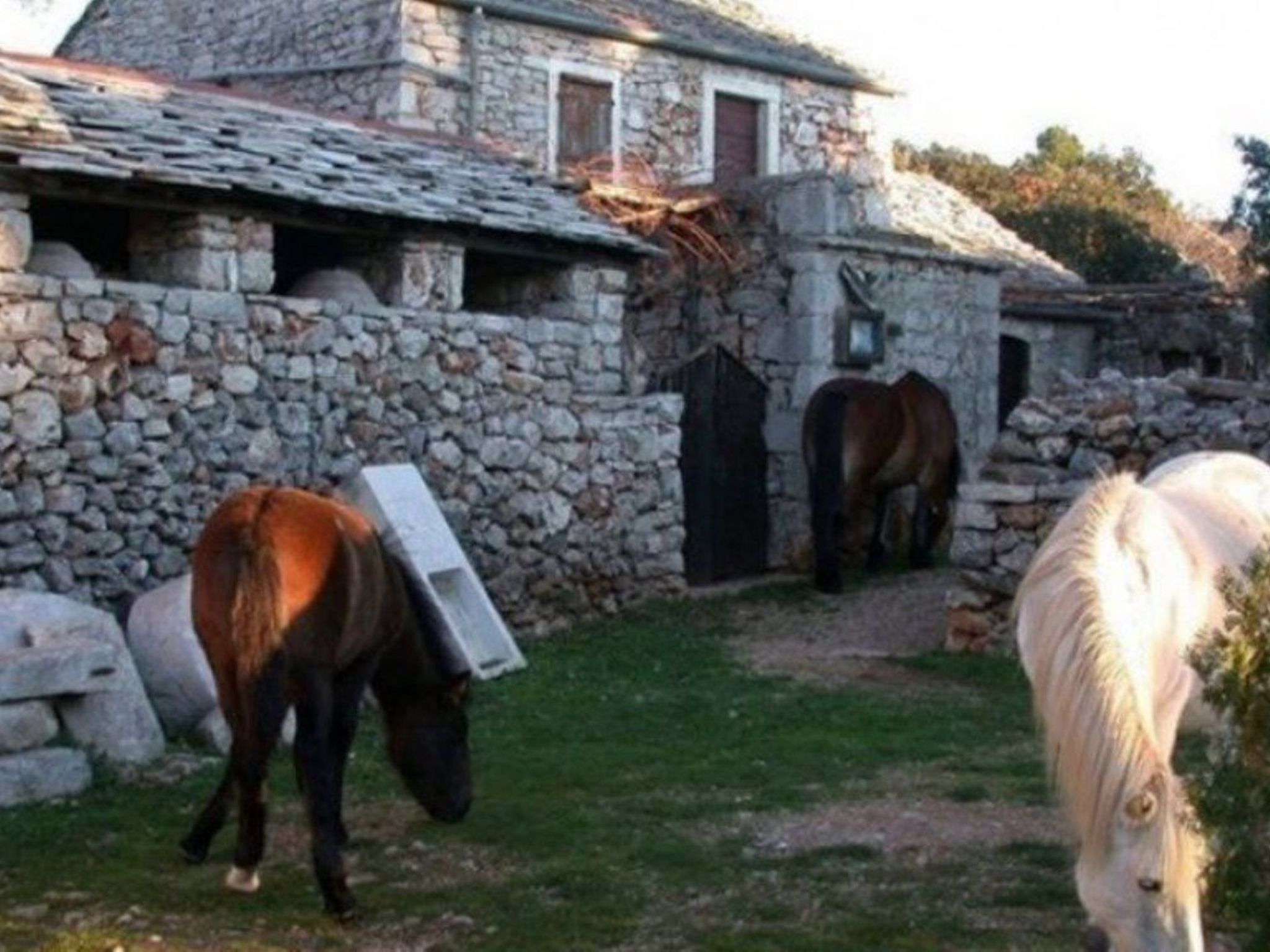Haus Jakov direkt am Meer - Insel Hvar-Drinnen
