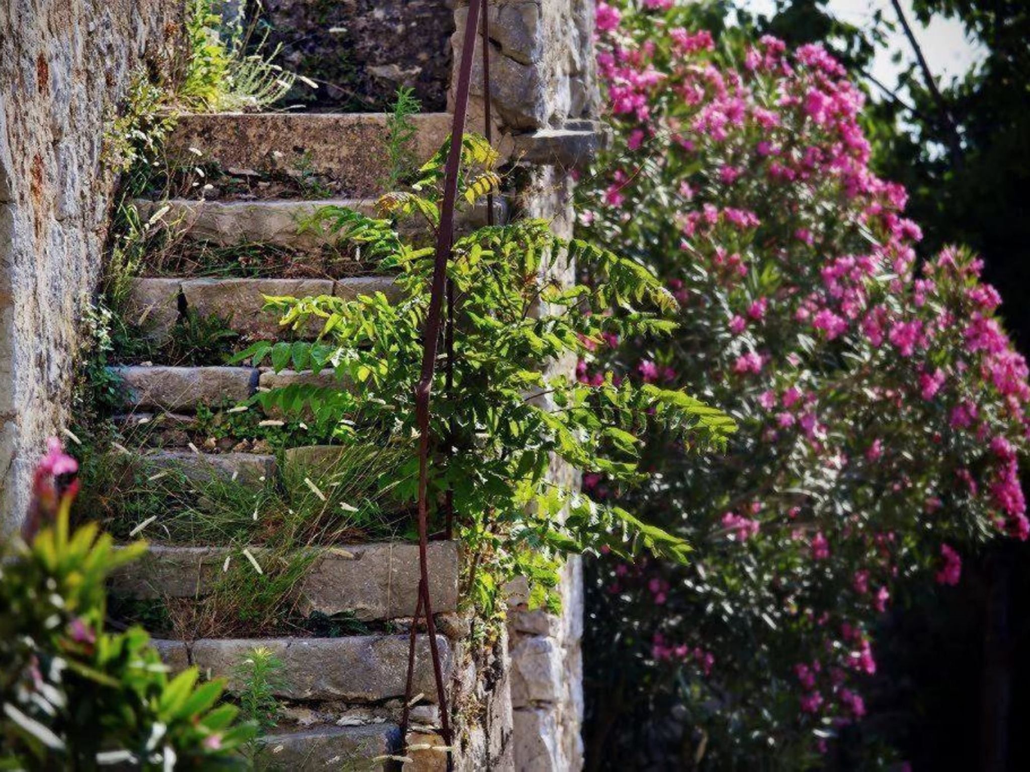 Haus Jakov direkt am Meer - Insel Hvar-Drinnen