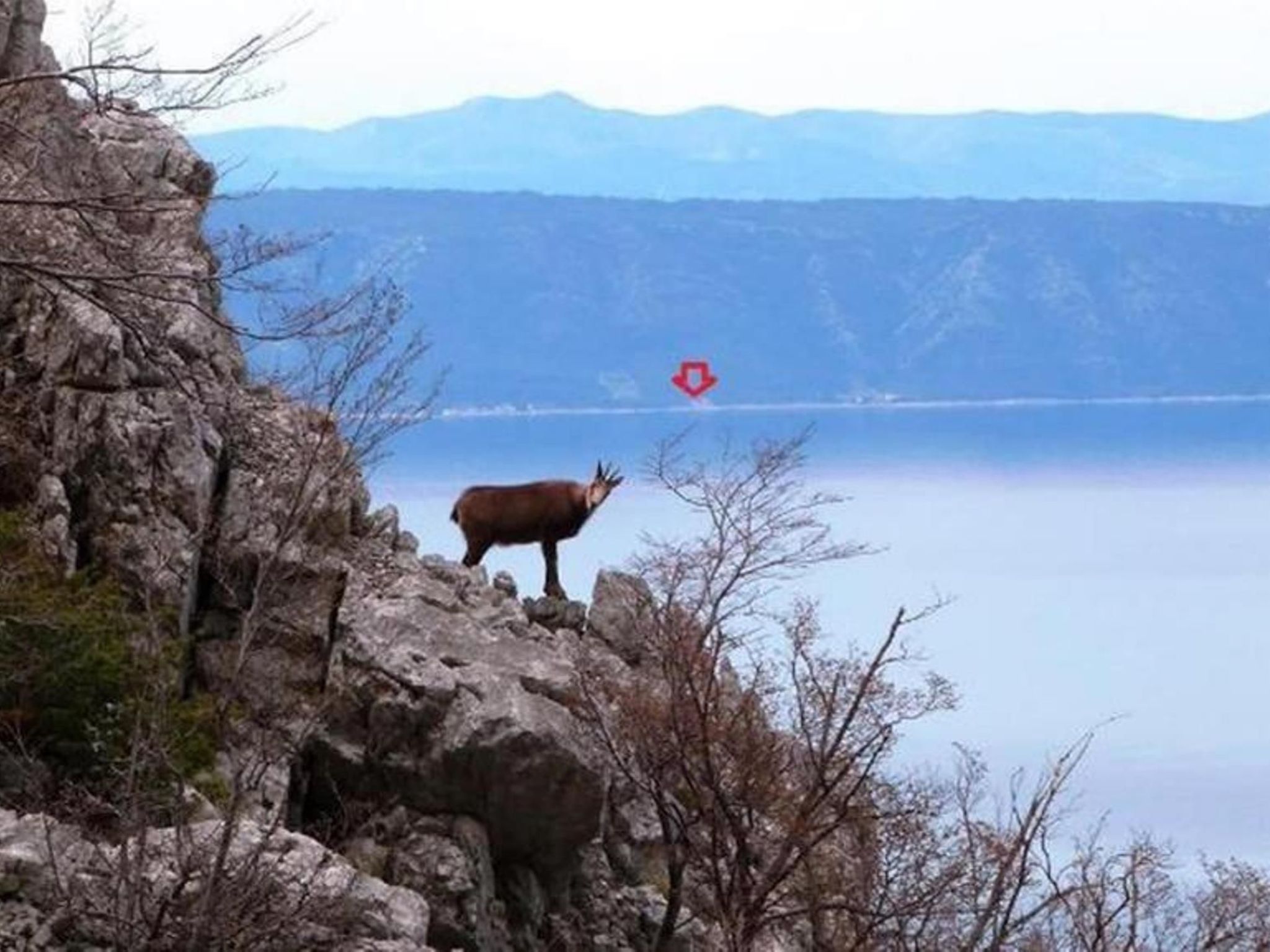 Haus Jakov direkt am Meer - Insel Hvar-Drinnen