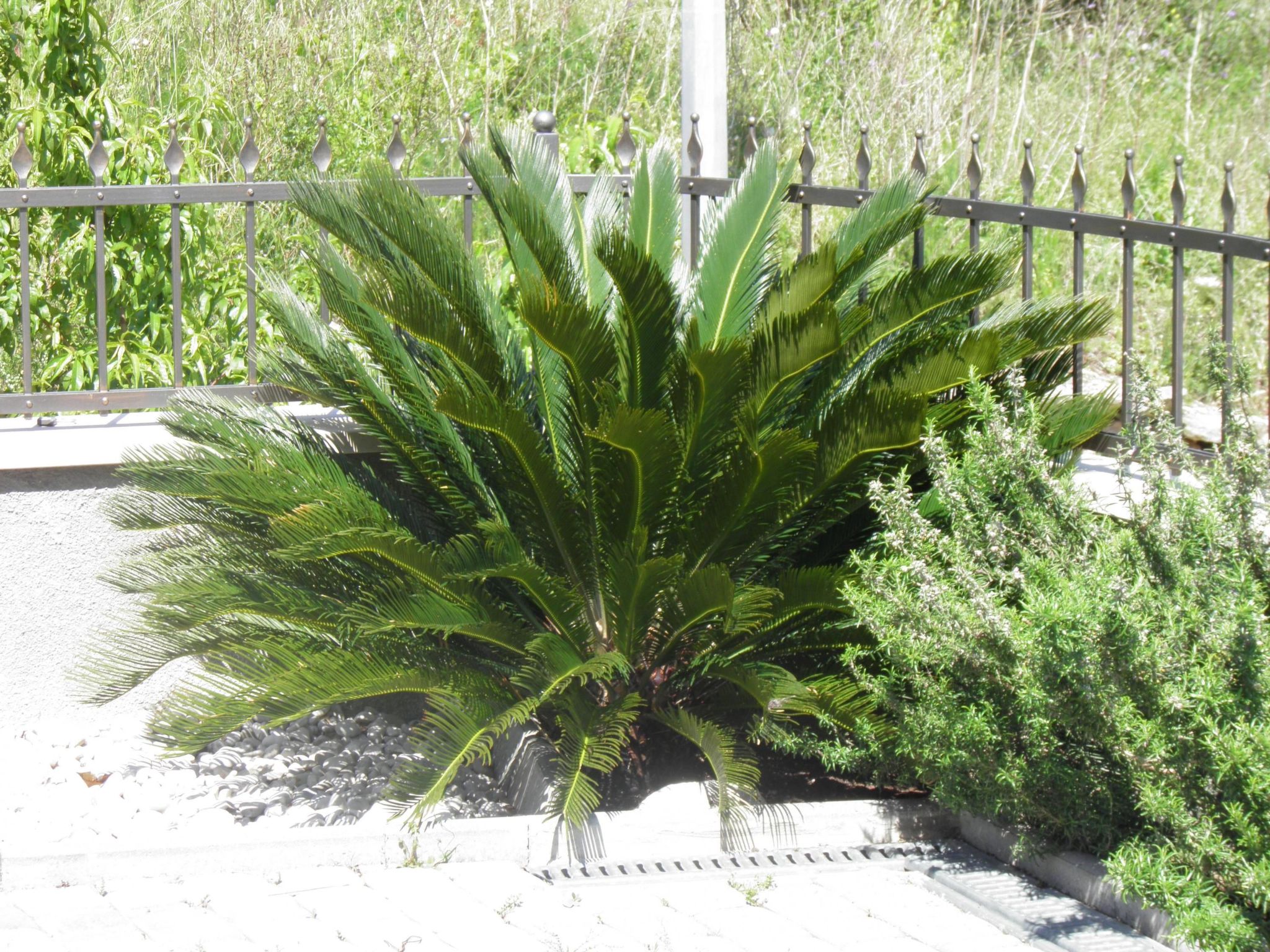 Studio im Erdgeschoss für zwei Personen mit einer Terrasse-Binnen