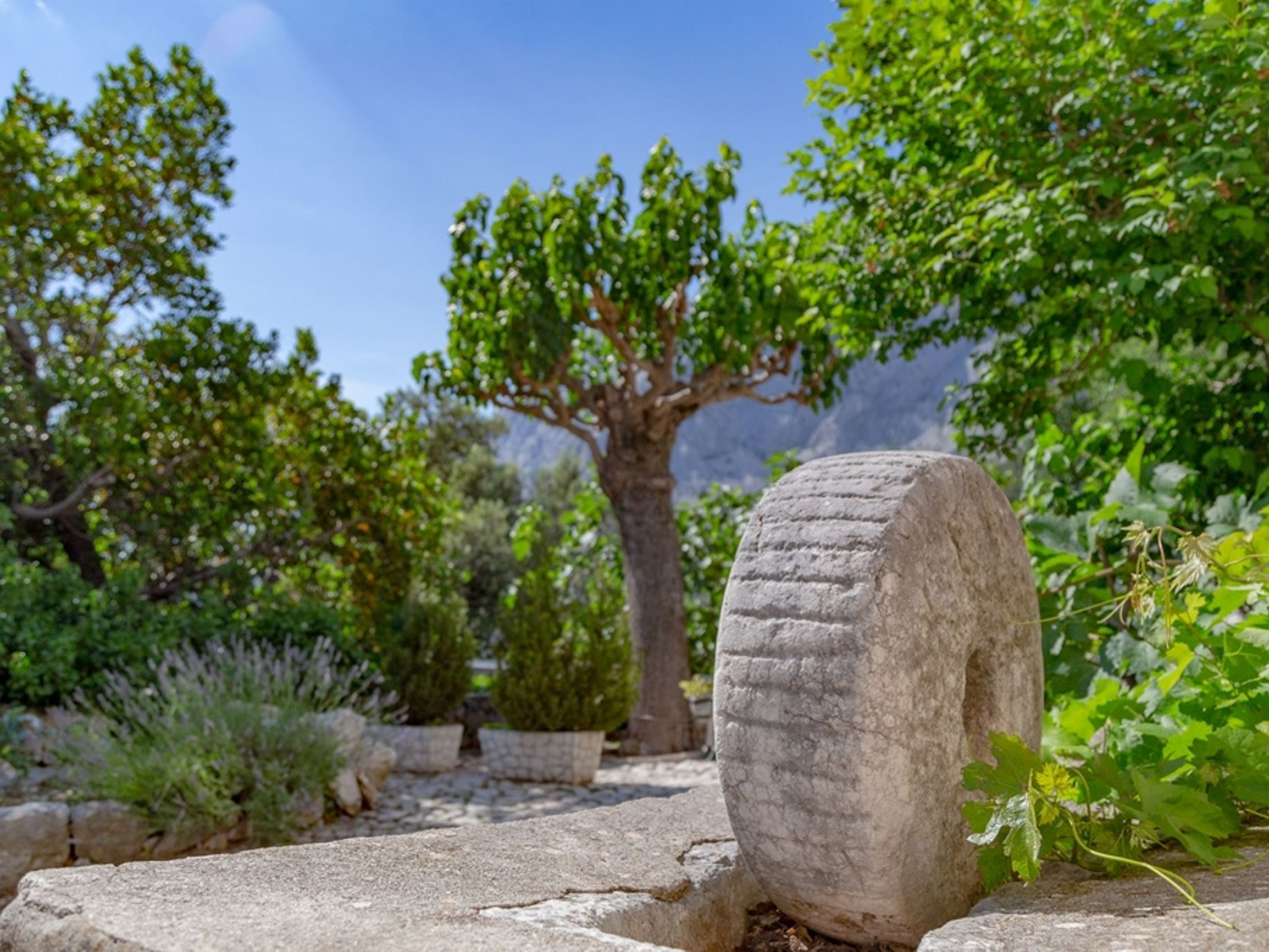 "Nikola" mit privatem Pool-Inside