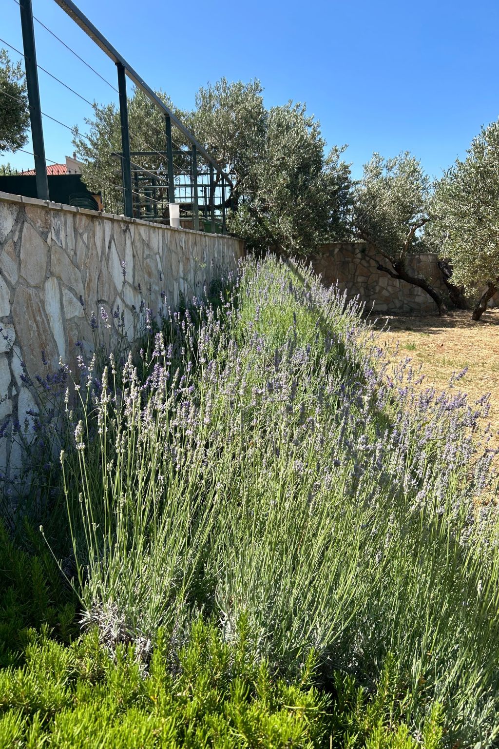 Villa Olivia mit Pool - Spielplatz - Meerblick-Binnen