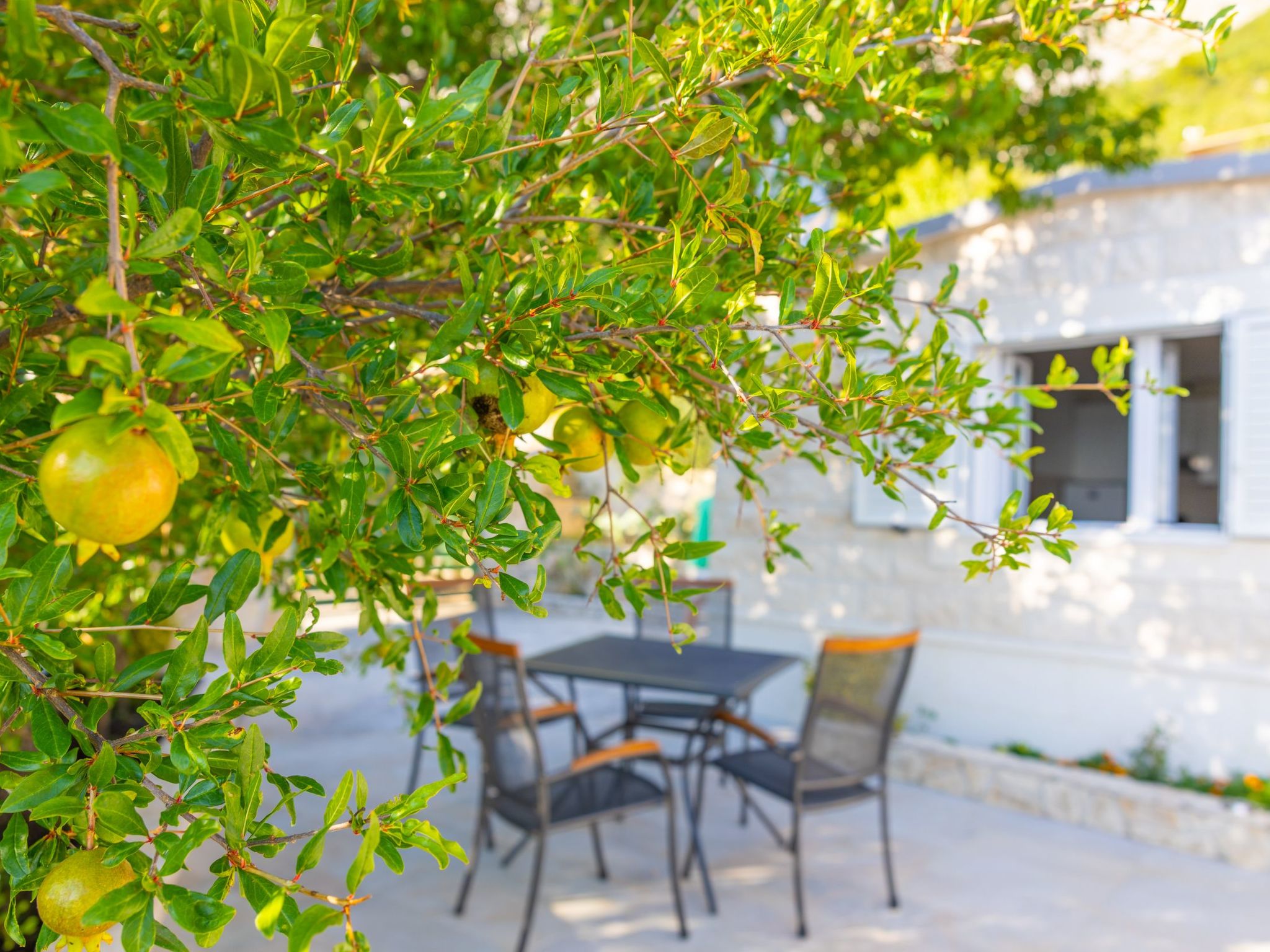 Günstiges Ferienhaus mit Pool und Meerblick-Inside