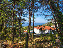 Vacation home Prestige