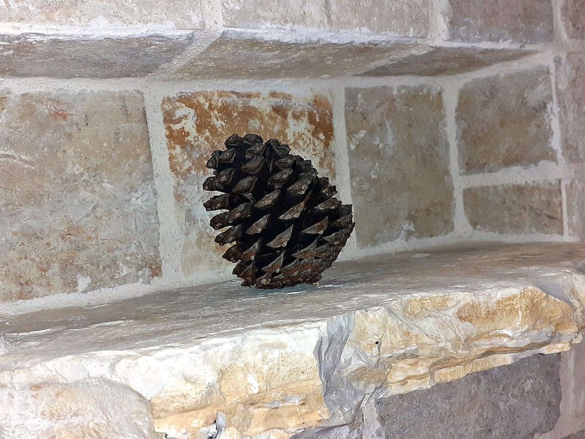 Appartement in Baška Voda-Binnen