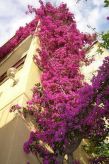 Maestral Ventus: Modern appartement op 450m van zee in Makarska - thumbnail 3