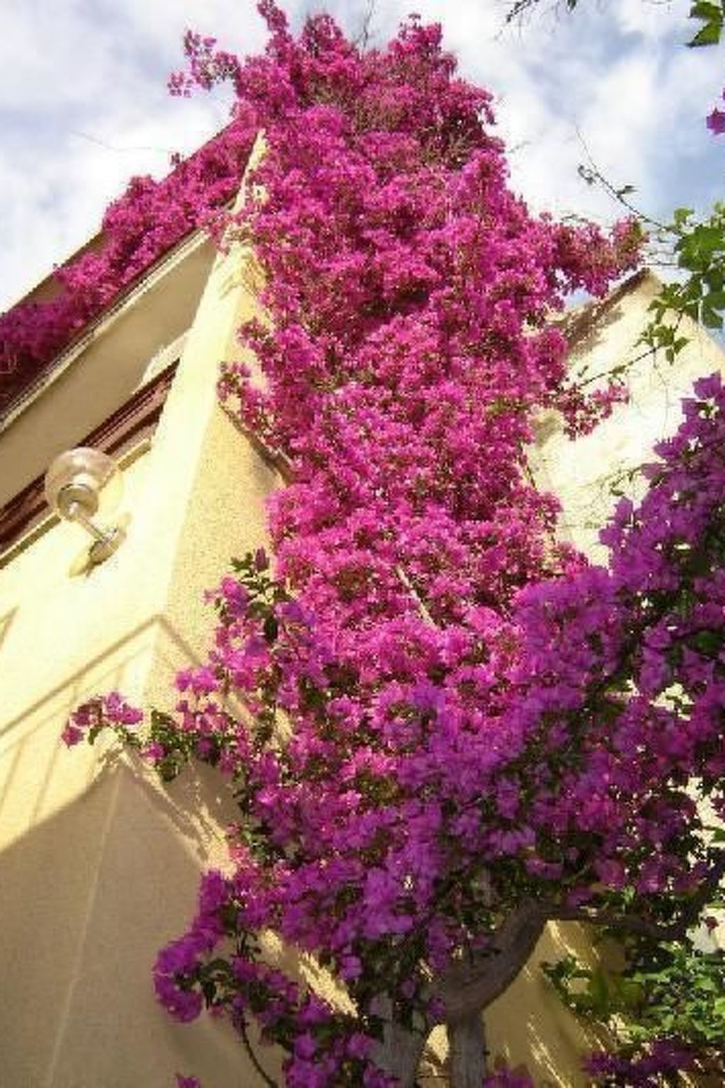 "Garbin Ventus Makarska"-Binnen