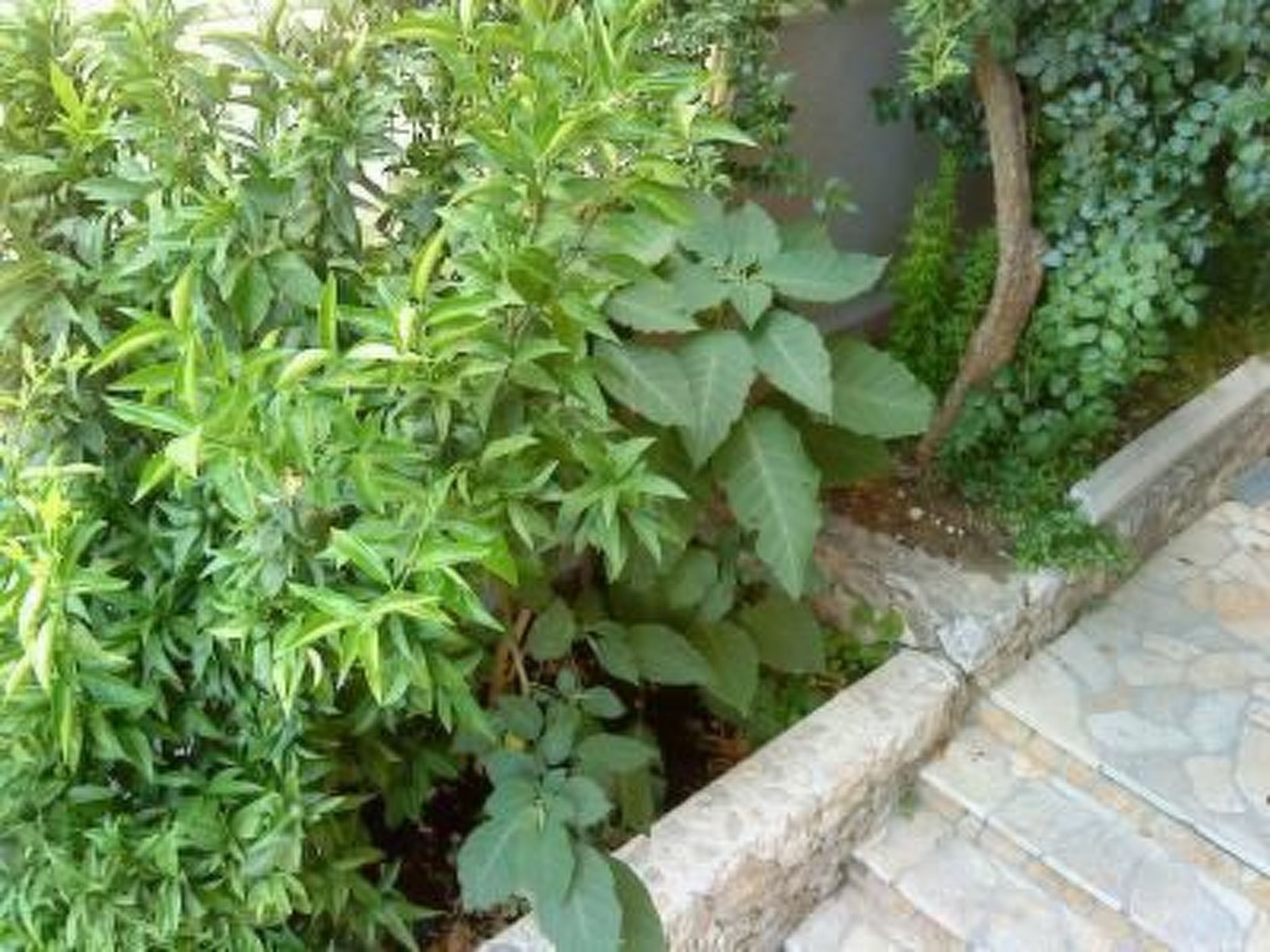 "Garbin Ventus Makarska"-Binnen