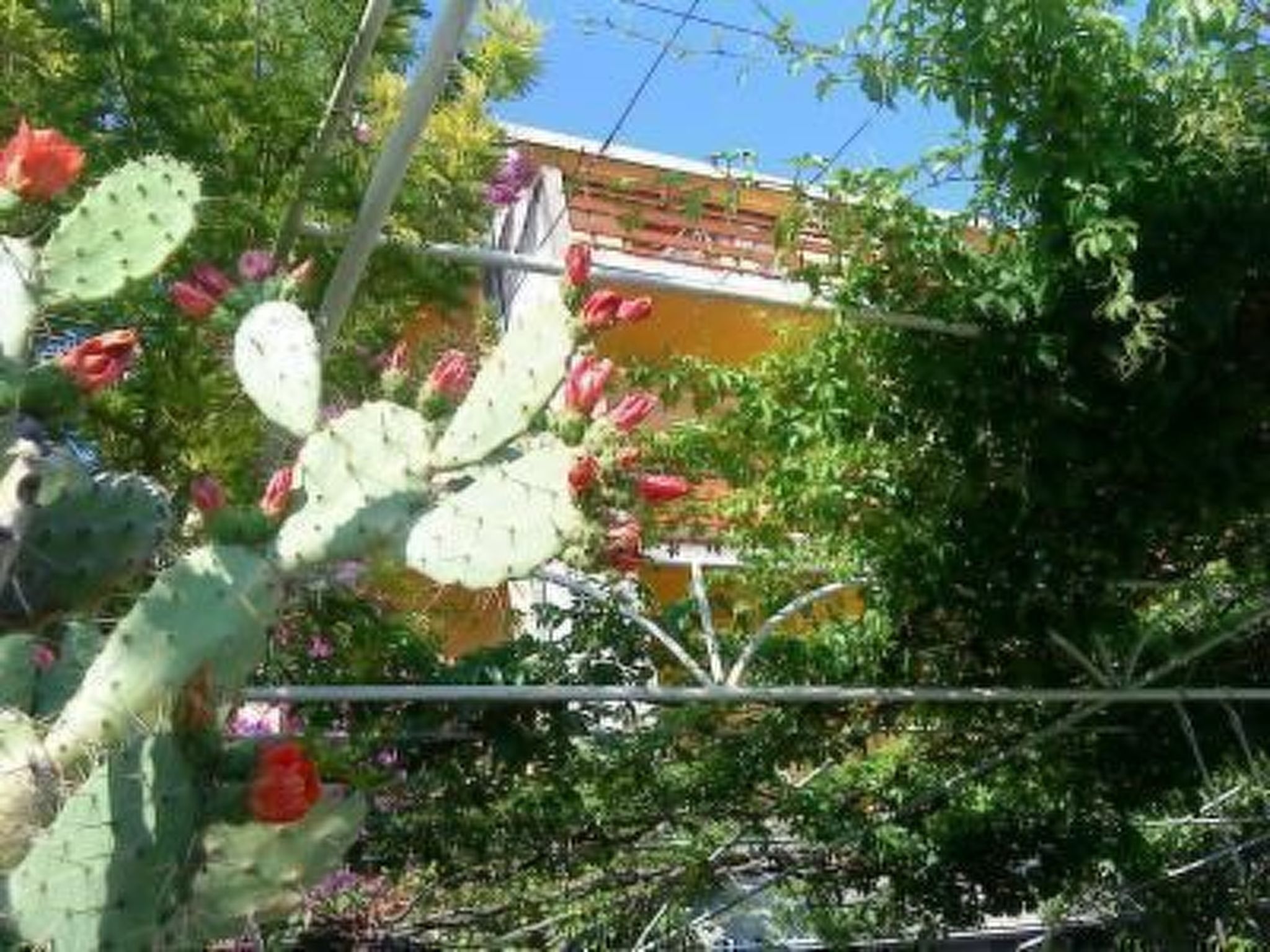 "Levant Ventus Makarska"-Binnen