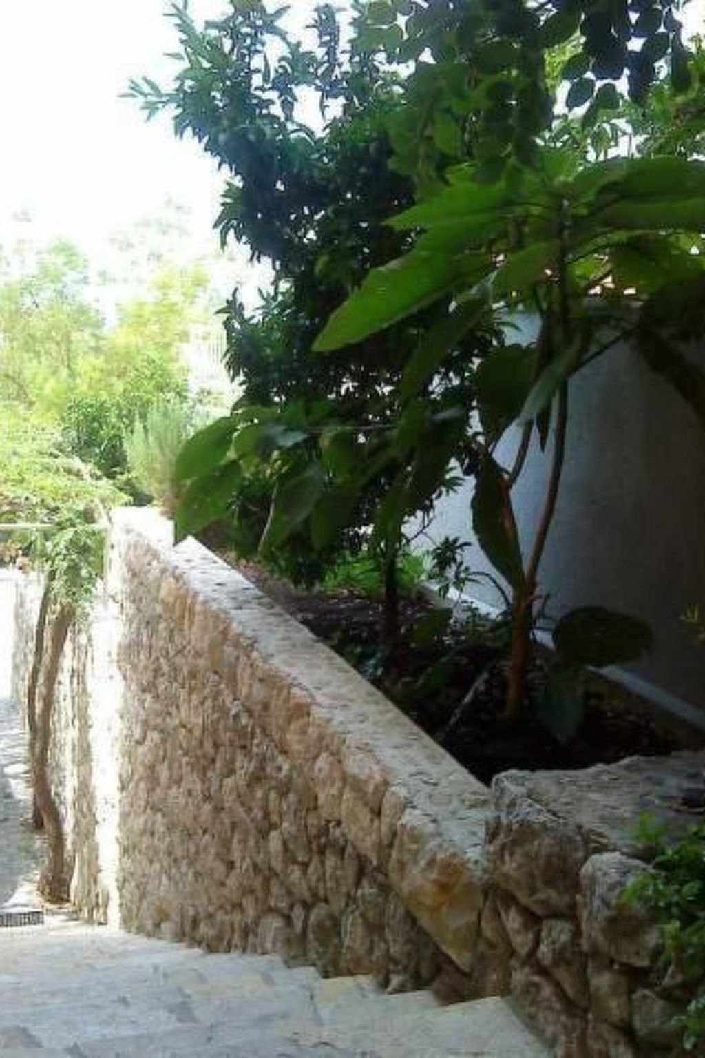 "Levant Ventus Makarska"-Binnen