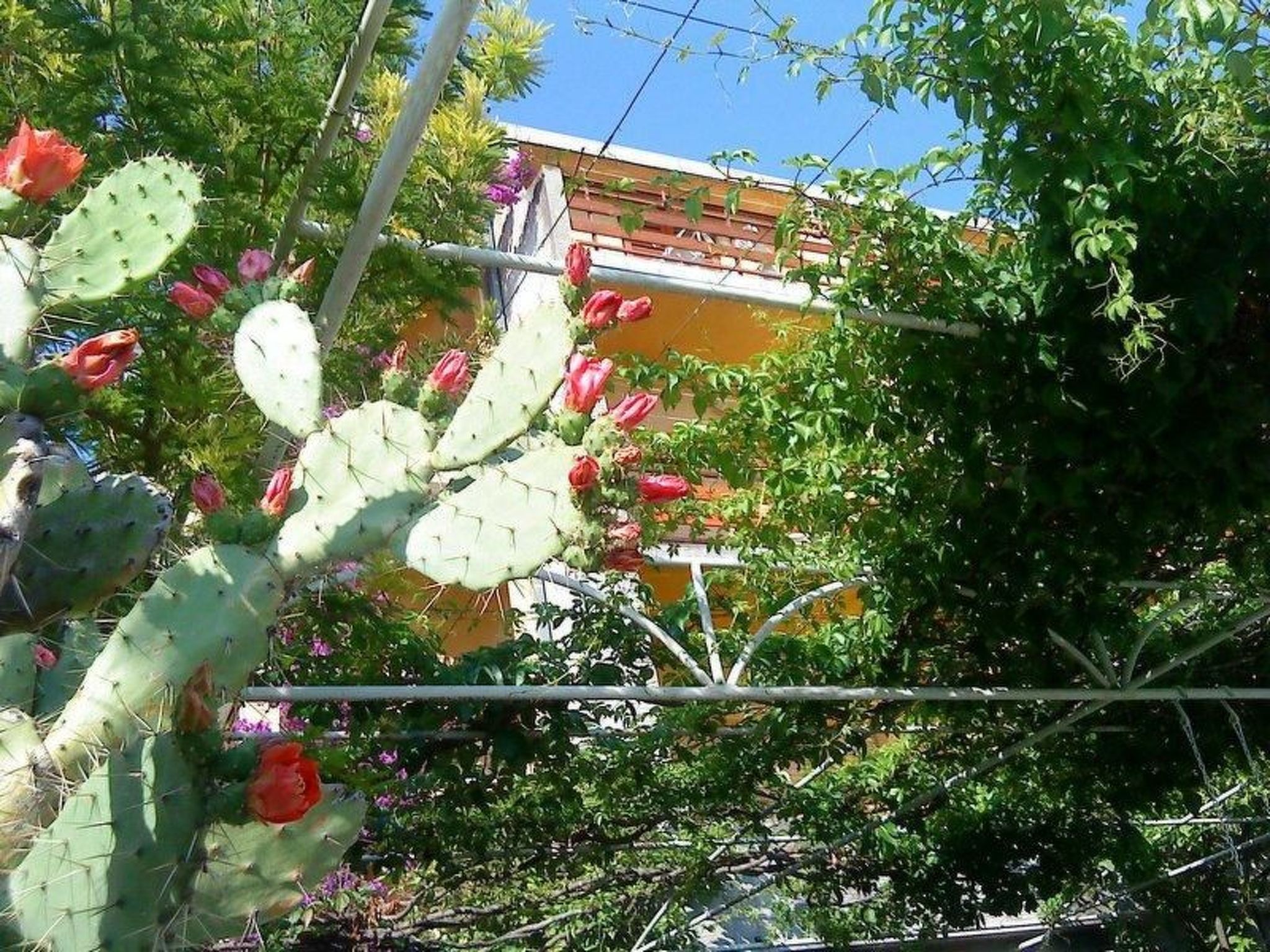 "Levant Ventus Makarska"