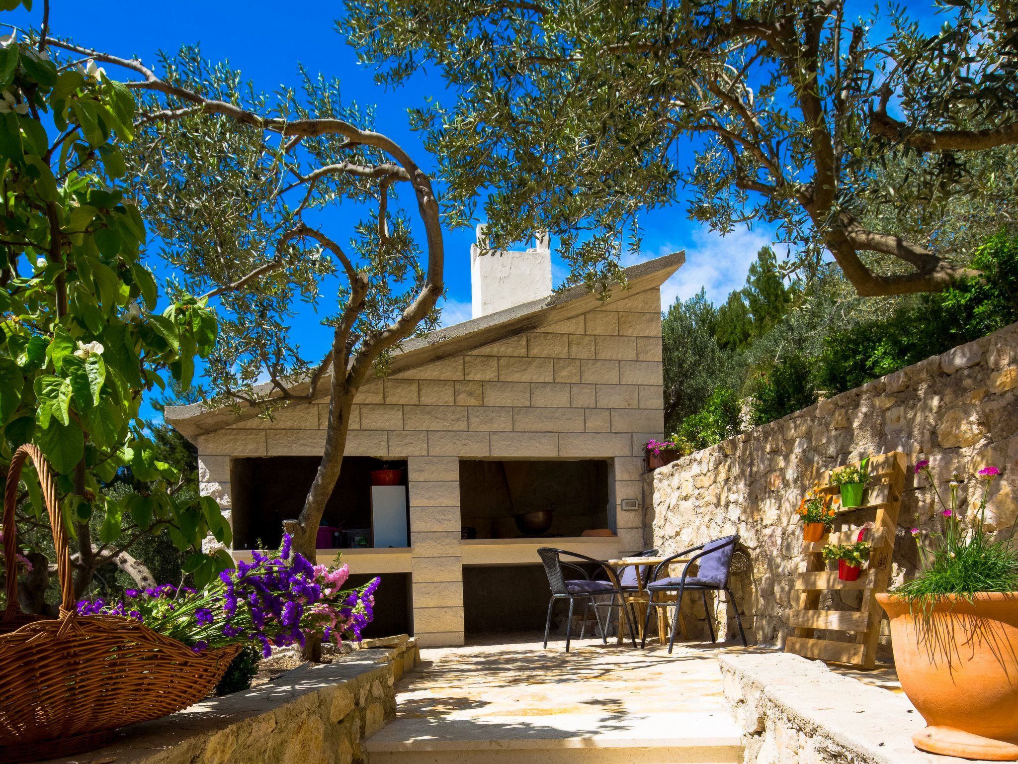 Villa Olive-Image-tags.info