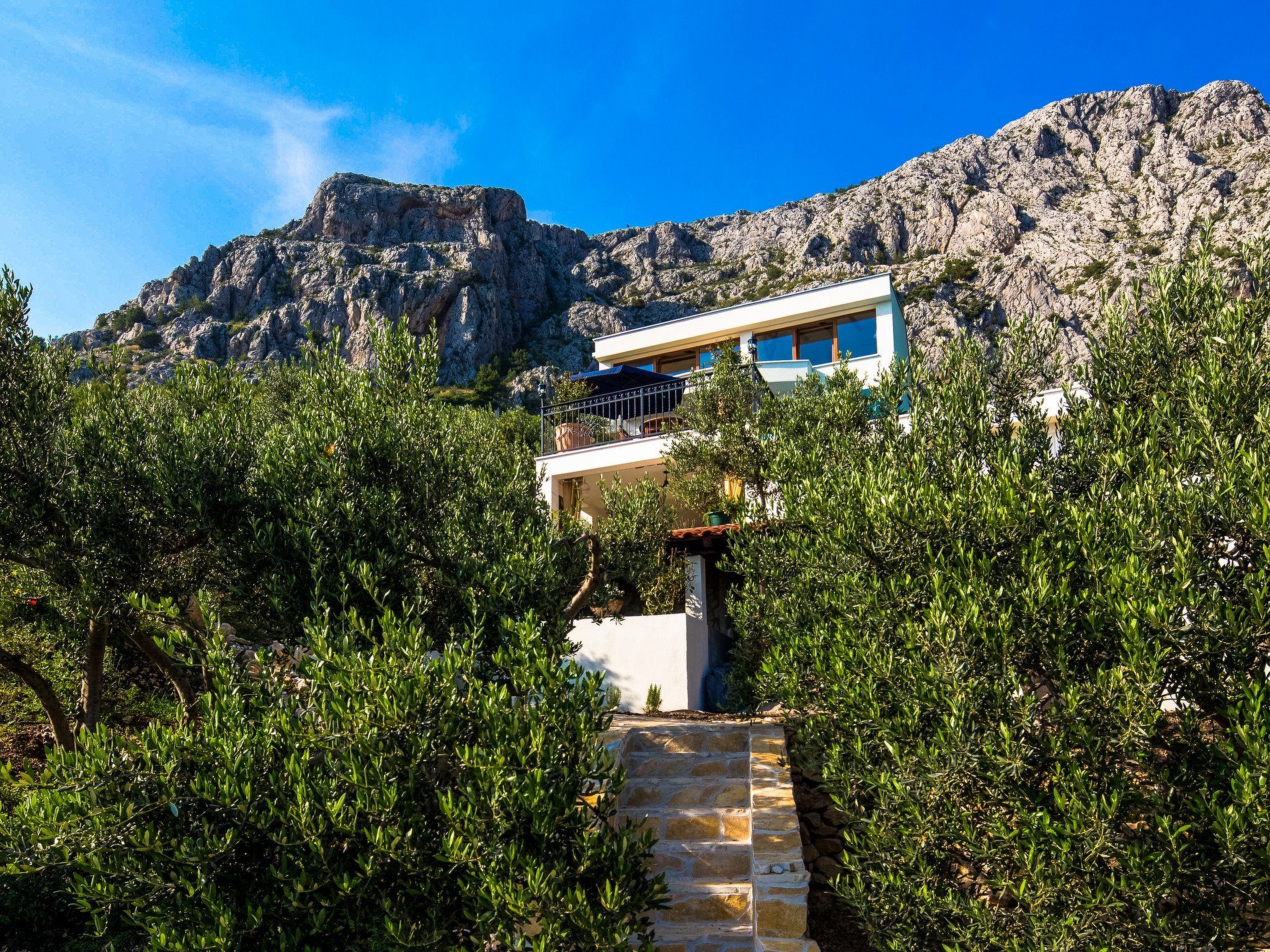 Villa Olive-Image-tags.info