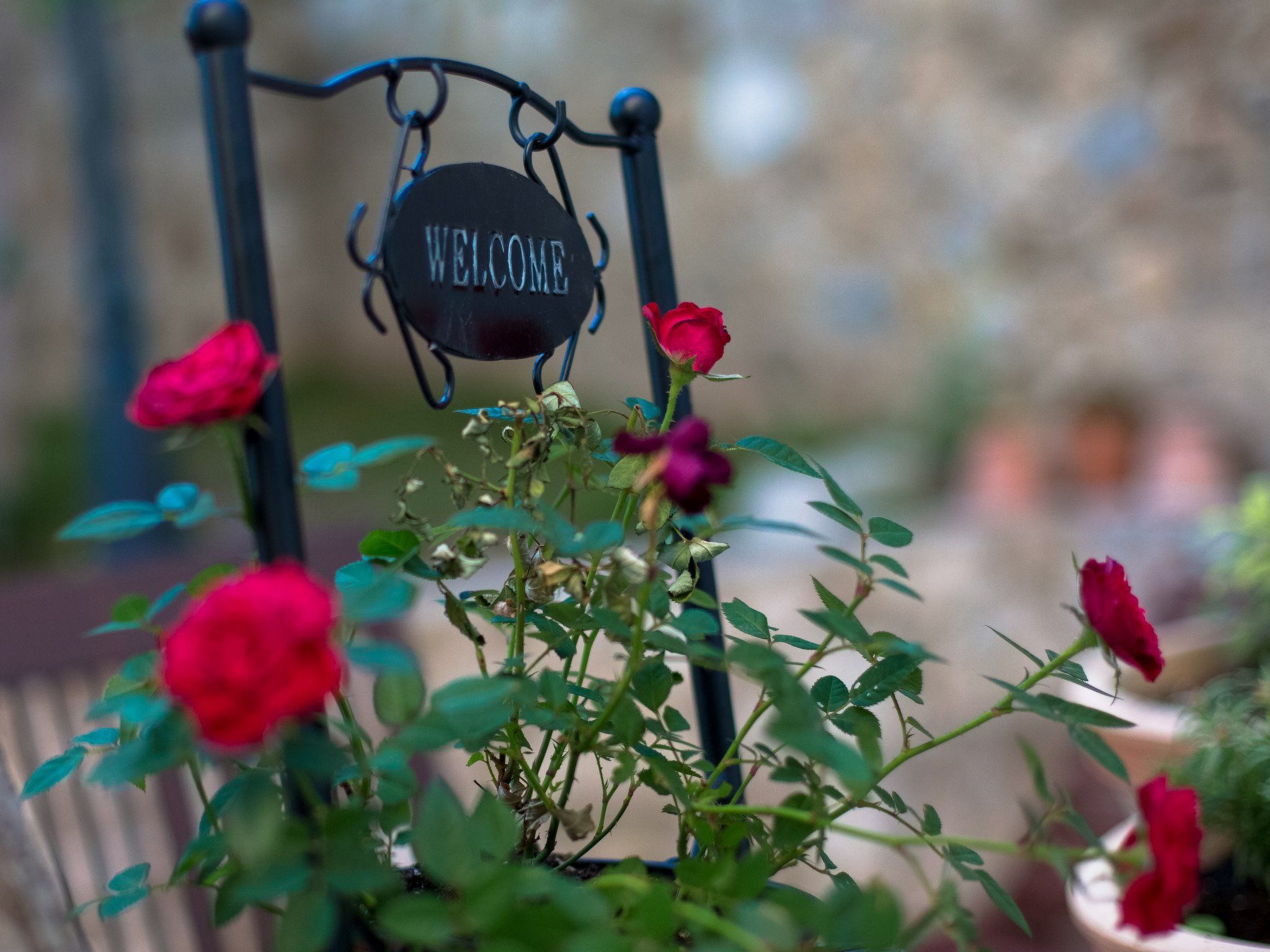 Villa Olive-Image-tags.info