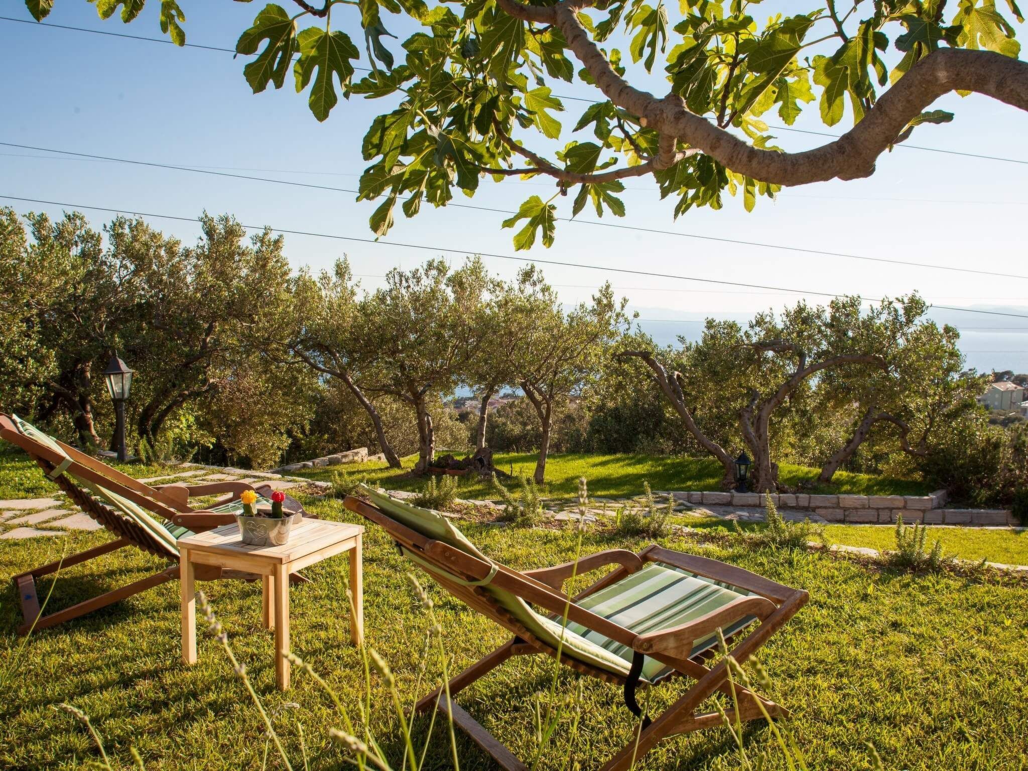 Rustikale Villa Oliveto-Image-tags.info