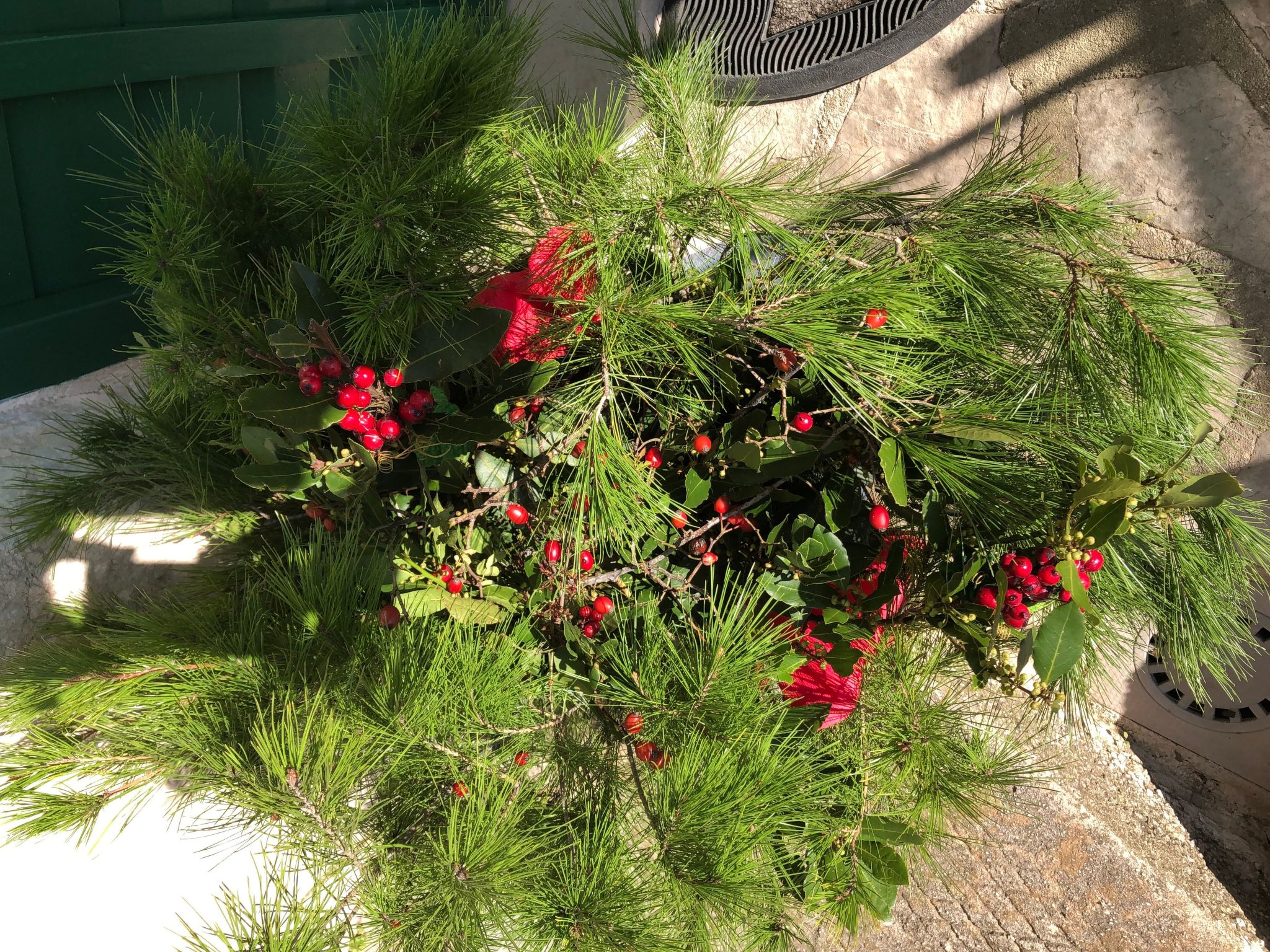 Mit Blick auf das Wasser-Binnen