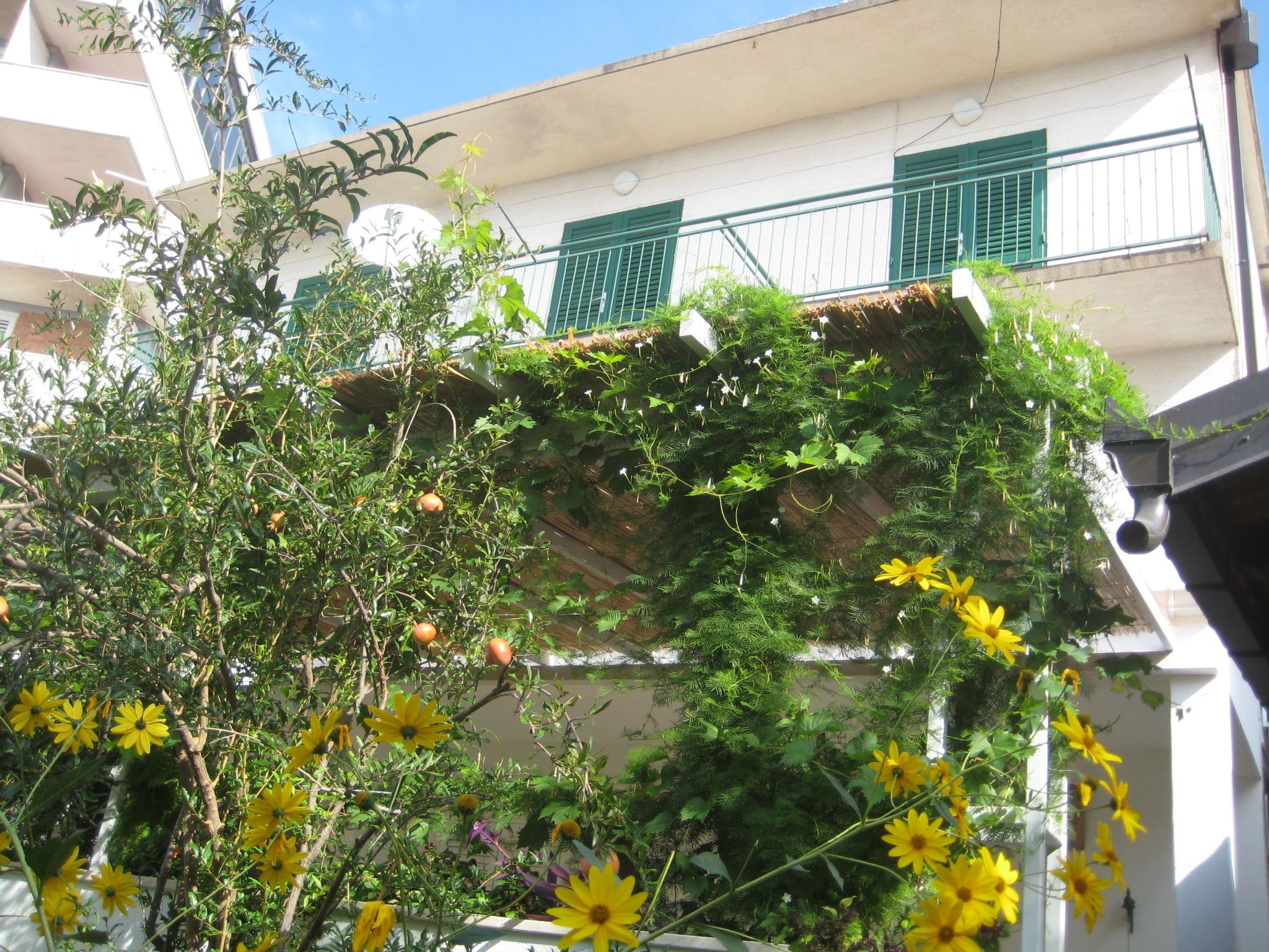 Apartman Sulic-Drinnen