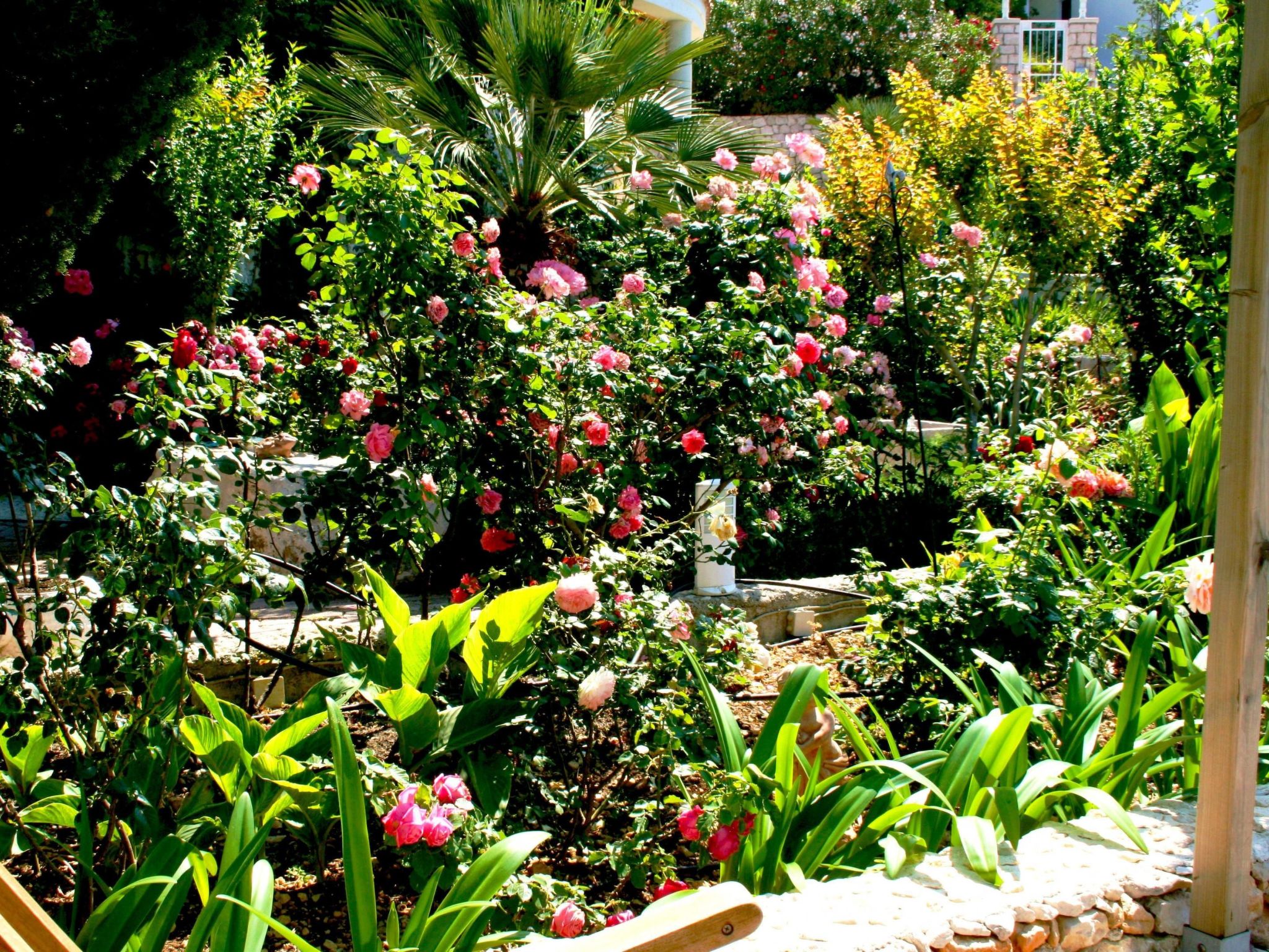 Wohnung in Drašnice mit Schönem Garten-Dedans