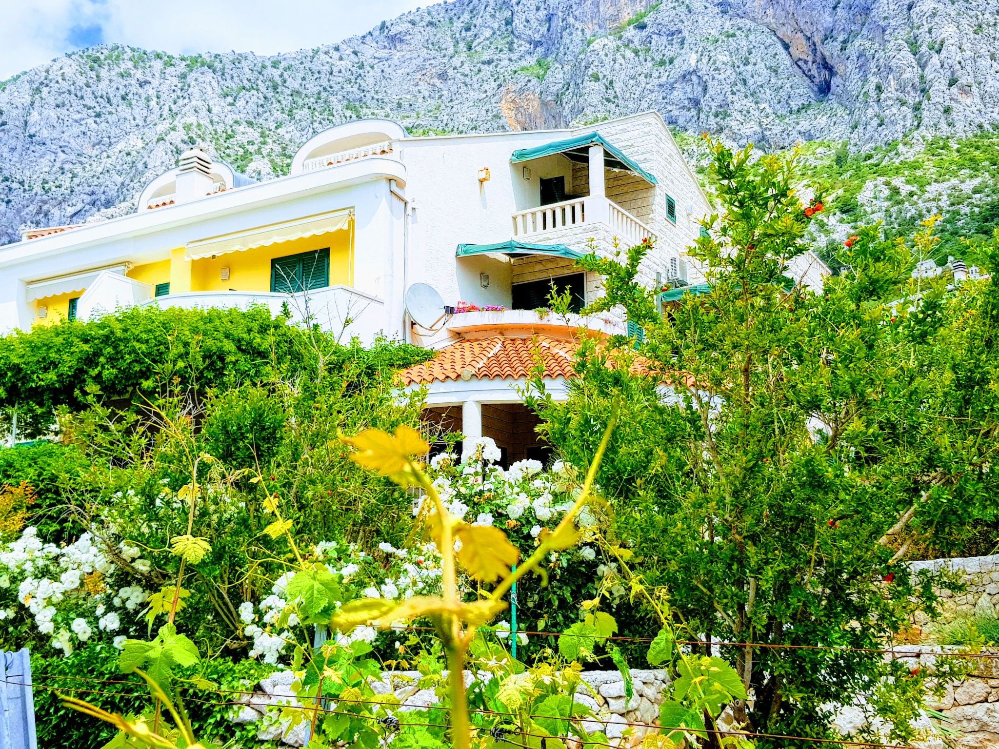 Wohnung in Drašnice mit Schönem Garten-Dedans