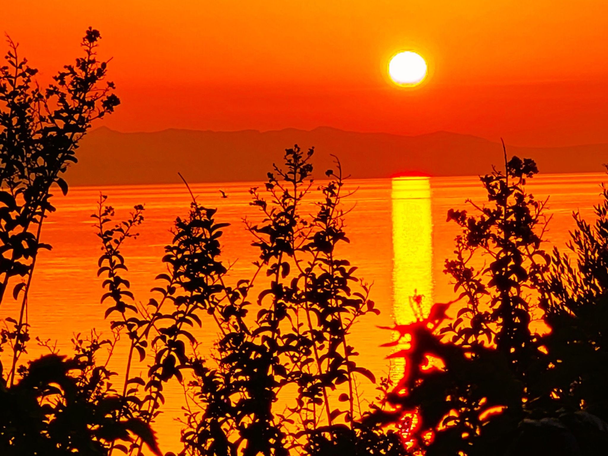 Wohnung in Drašnice mit Schönem Garten-Dedans