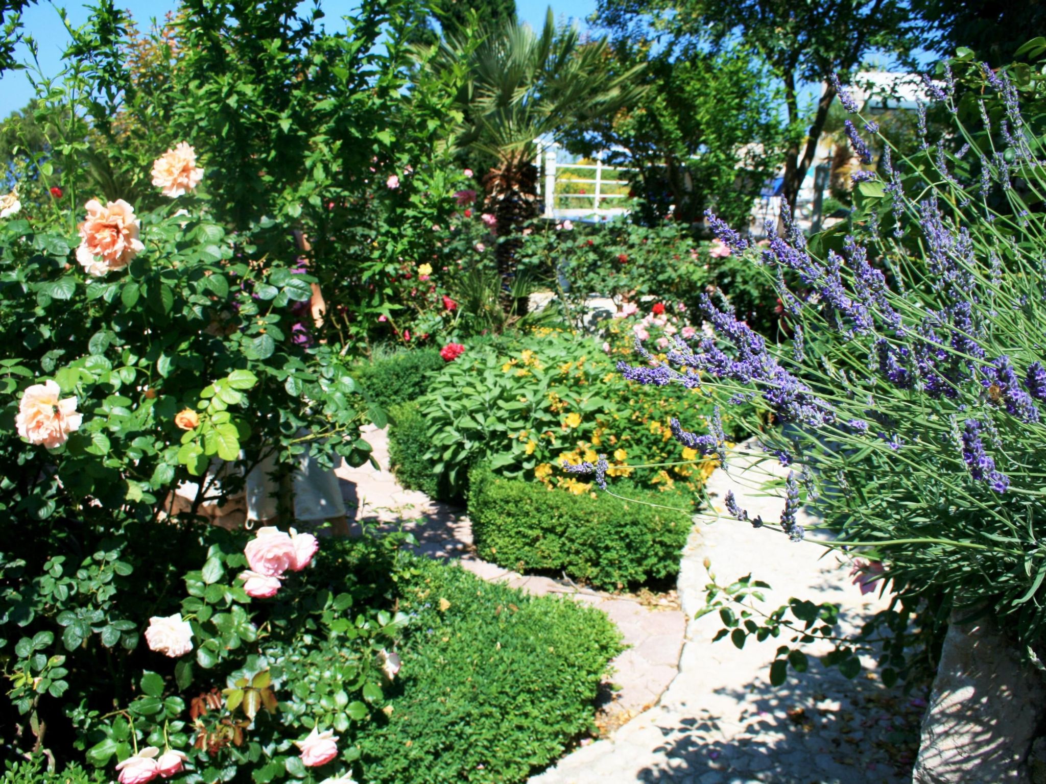 Wohnung in Drašnice mit Schönem Garten-Dedans