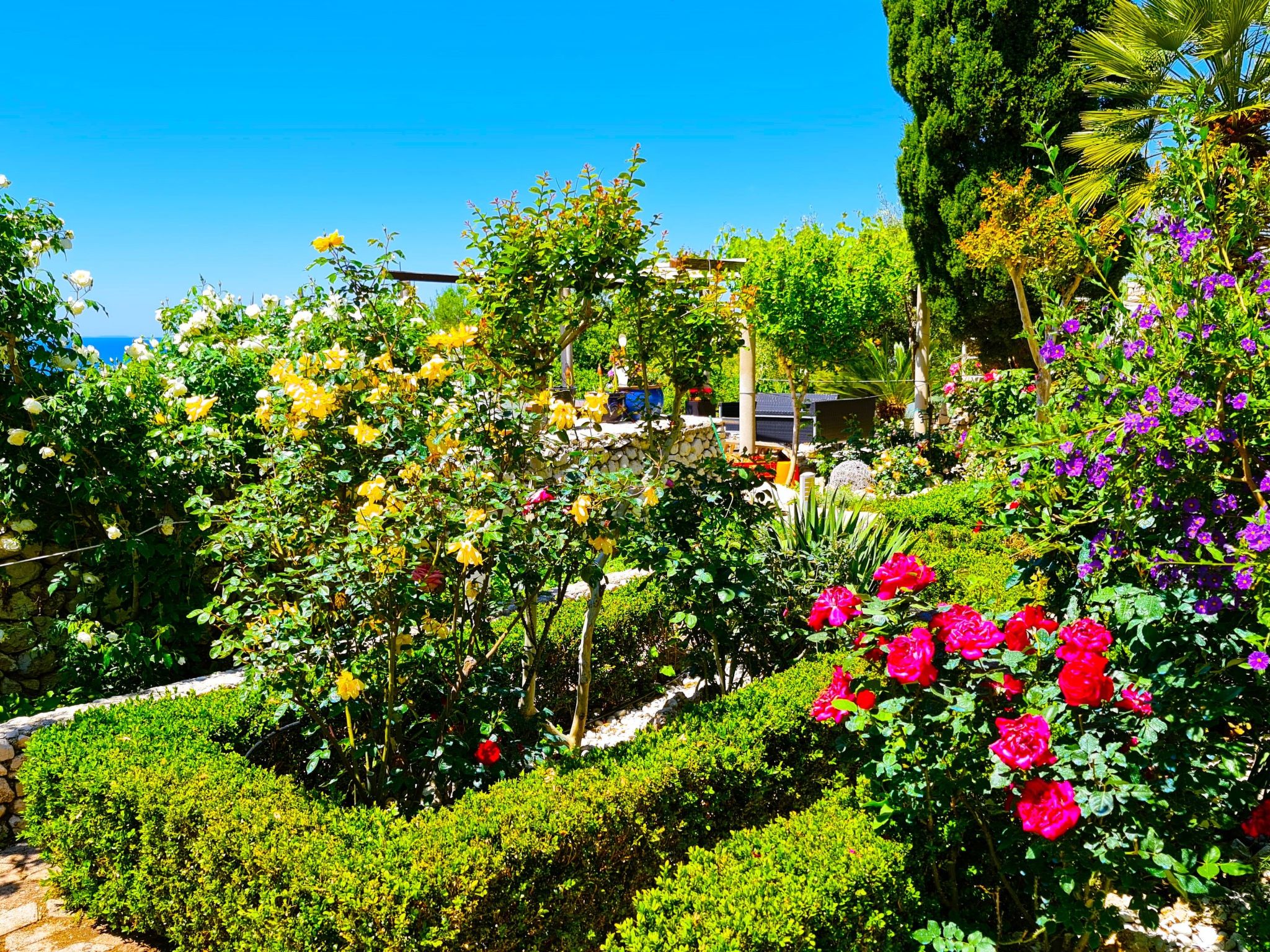 Wohnung in Drašnice mit Schönem Garten-Dedans