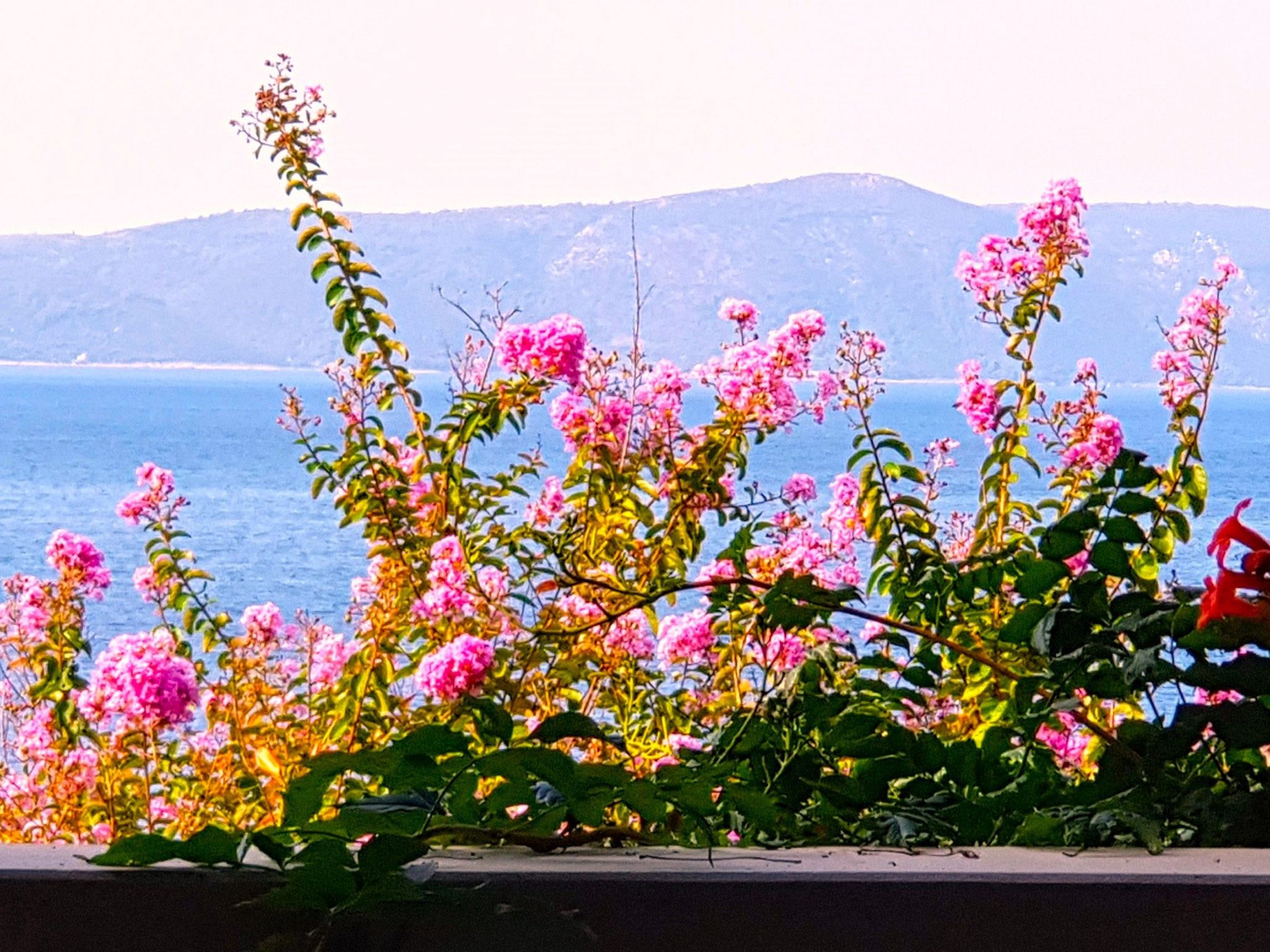 Tolle Wohnung in Drašnice mit Schönem Garten-Dedans