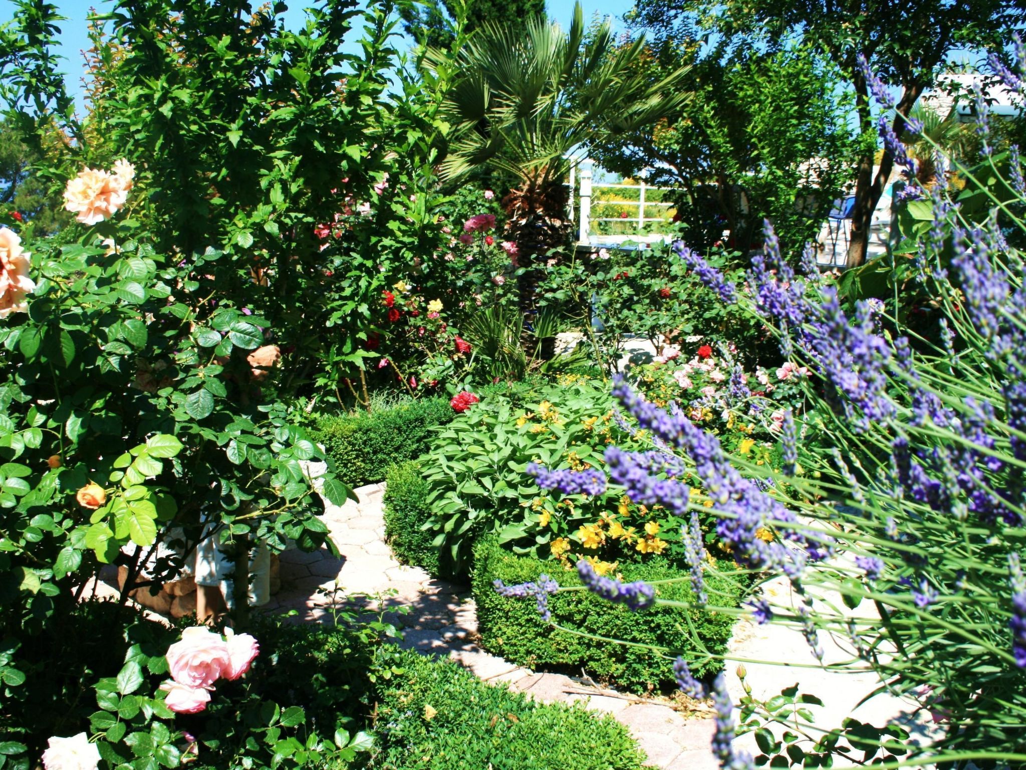 Tolle Wohnung in Drašnice mit Schönem Garten-Dedans