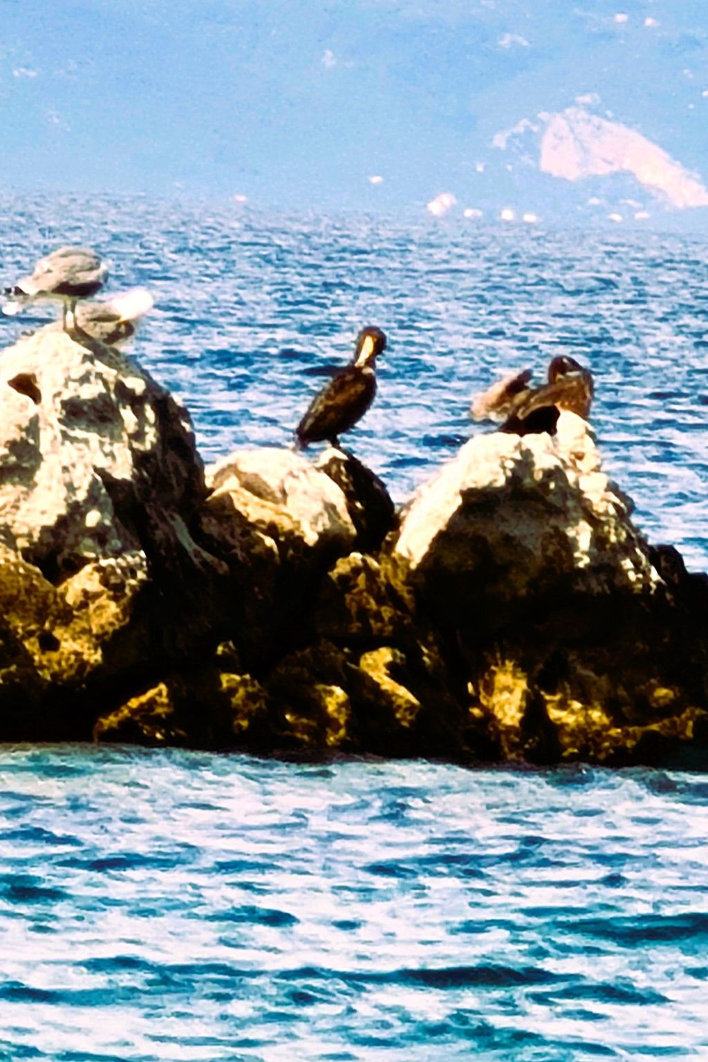 Tolle Wohnung in Drašnice mit Schönem Garten-Dedans