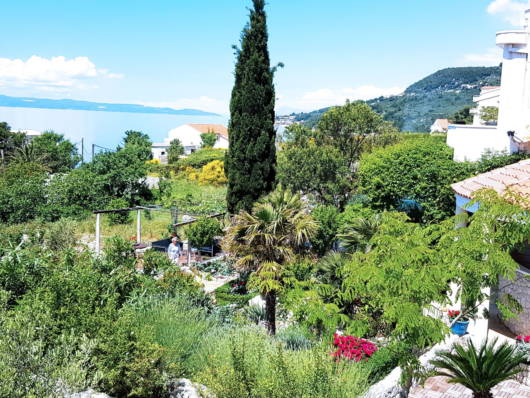 Tolle Wohnung in Drašnice mit Schönem Garten-Dedans