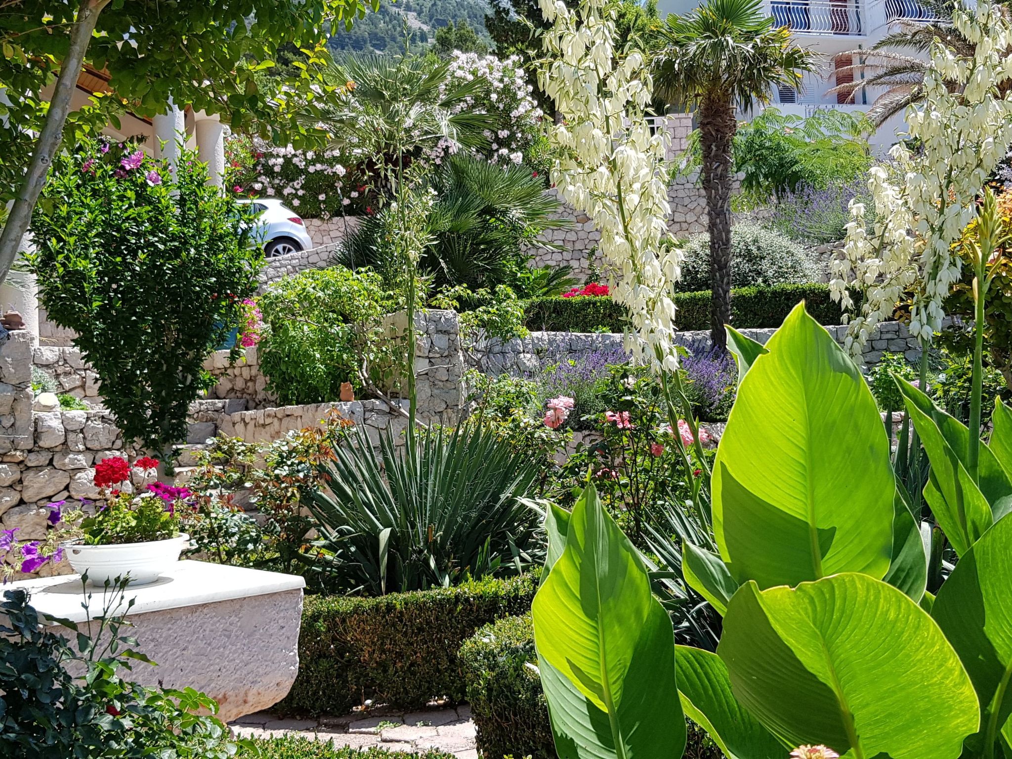 Tolle Wohnung in Drašnice mit Schönem Garten-Dedans