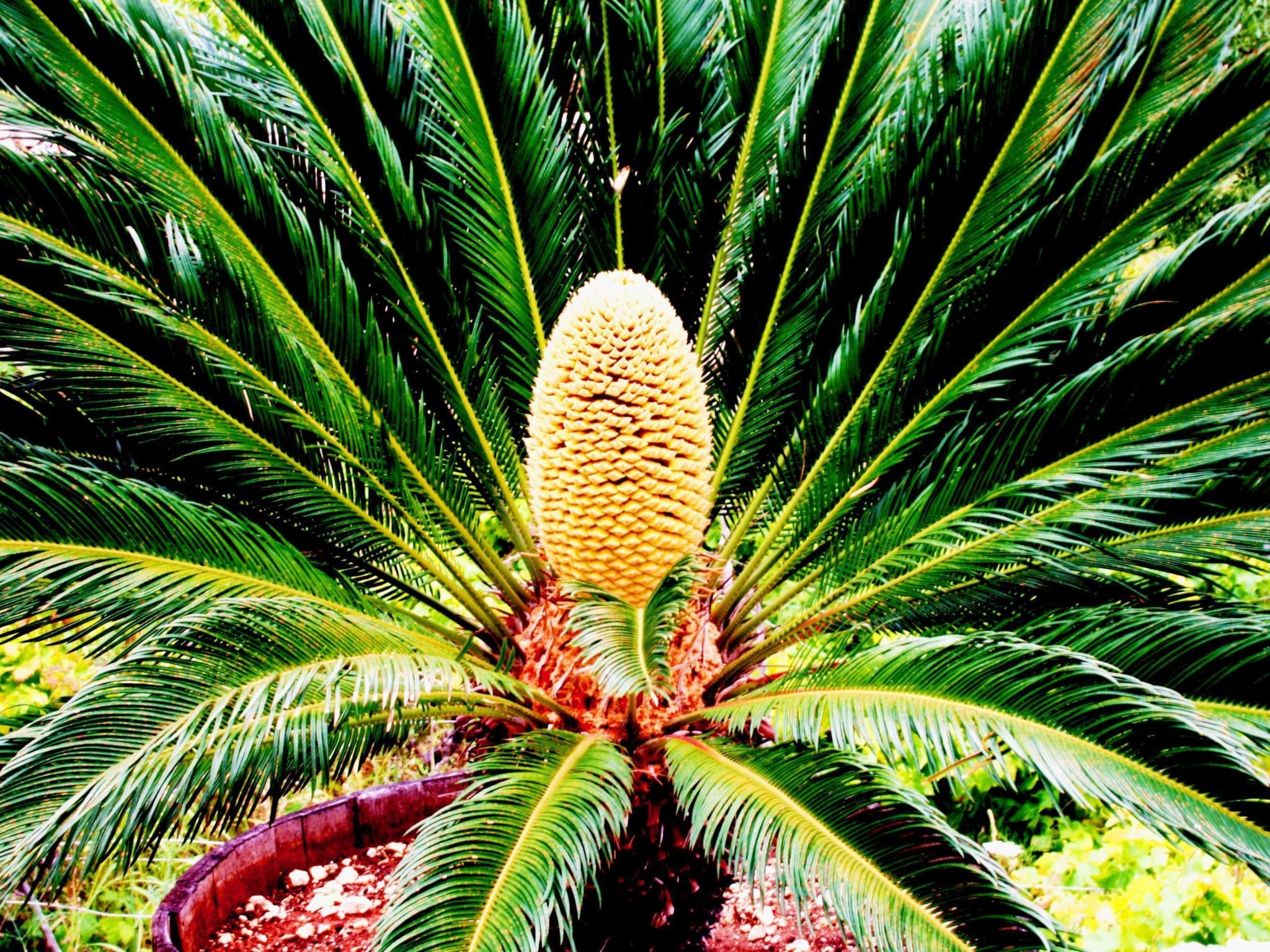 Fewo mit gemeinschaftlichem Pool - Image-tags.info