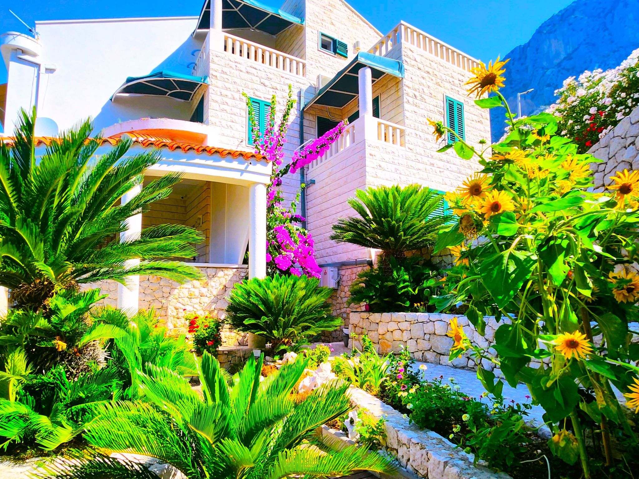 Fewo mit gemeinschaftlichem Pool - Image-tags.info