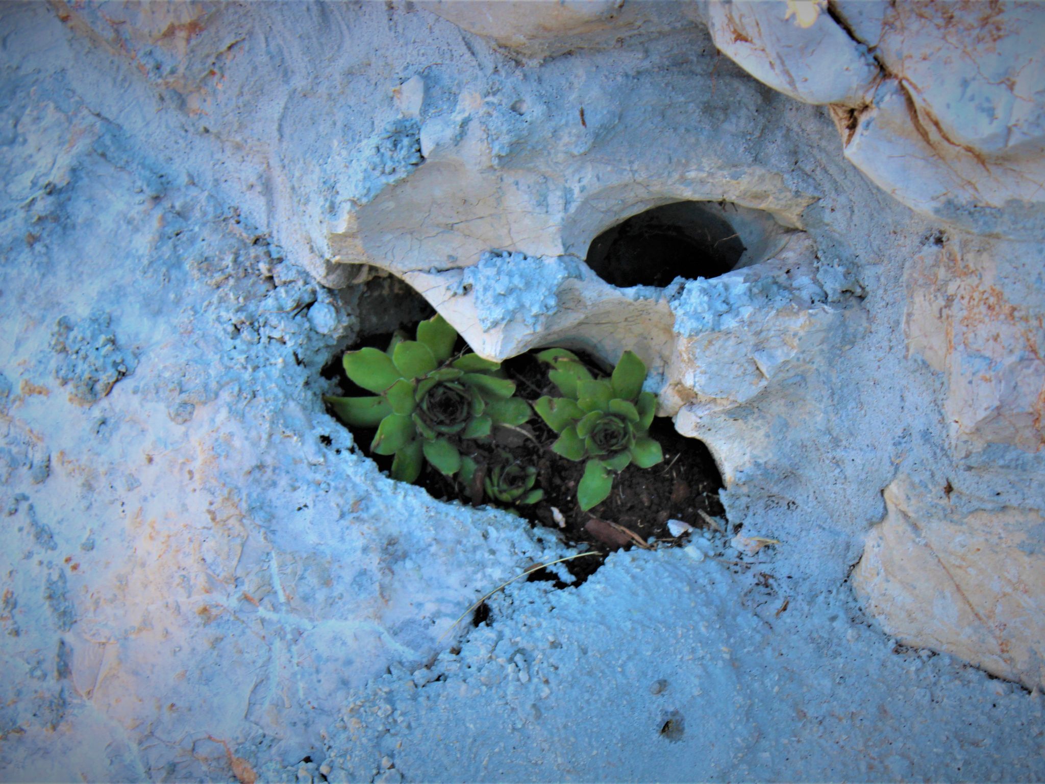 Mit privatem Pool-Dedans