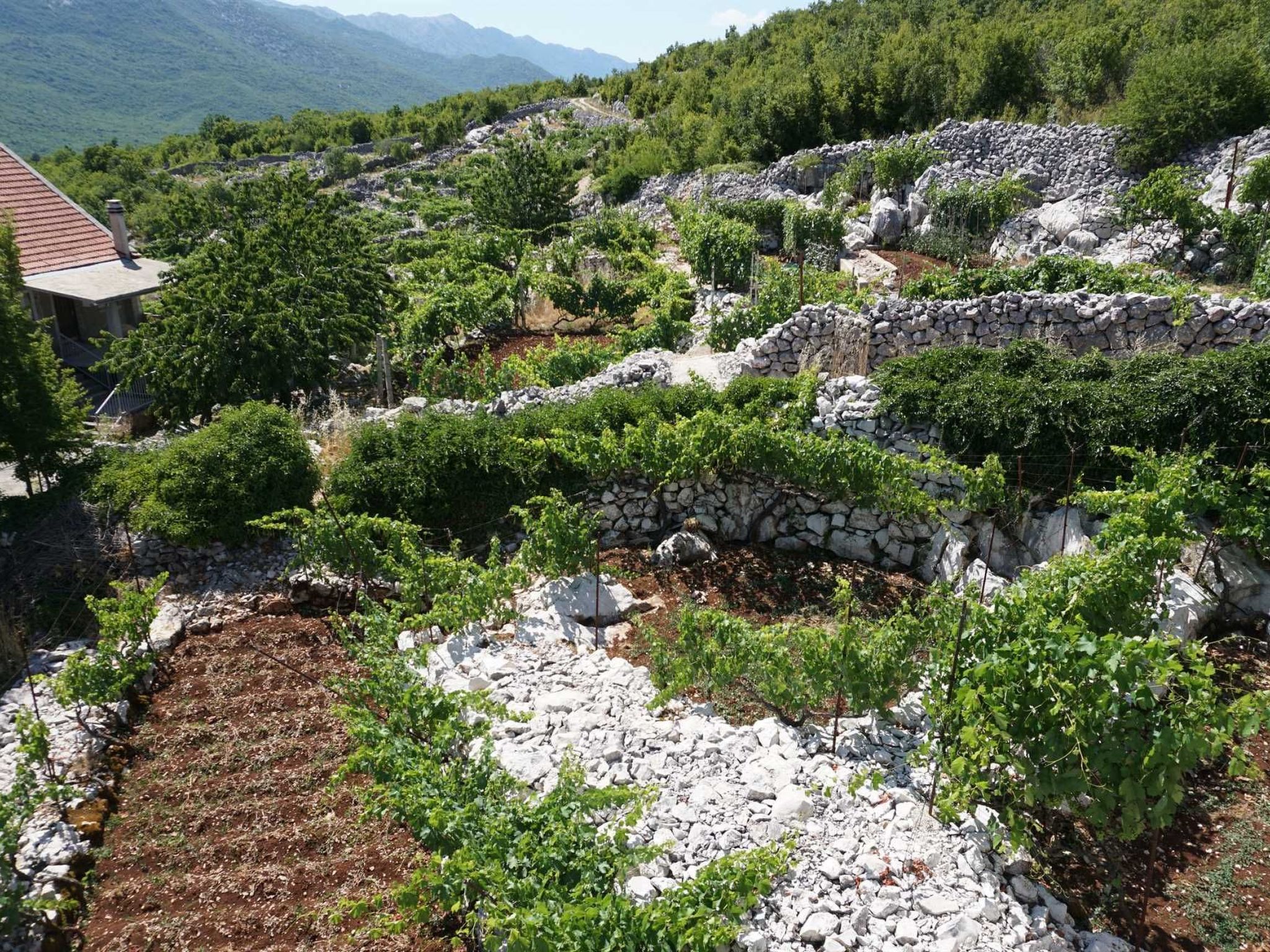 Mit privatem Pool-Dedans